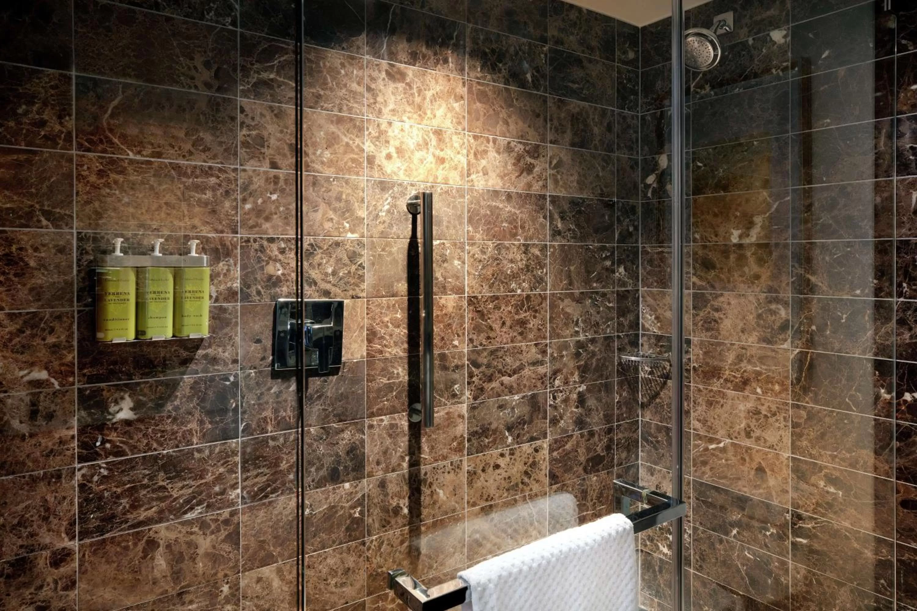 Double Room with Two Double Beds in Hilton McLean Tysons Corner