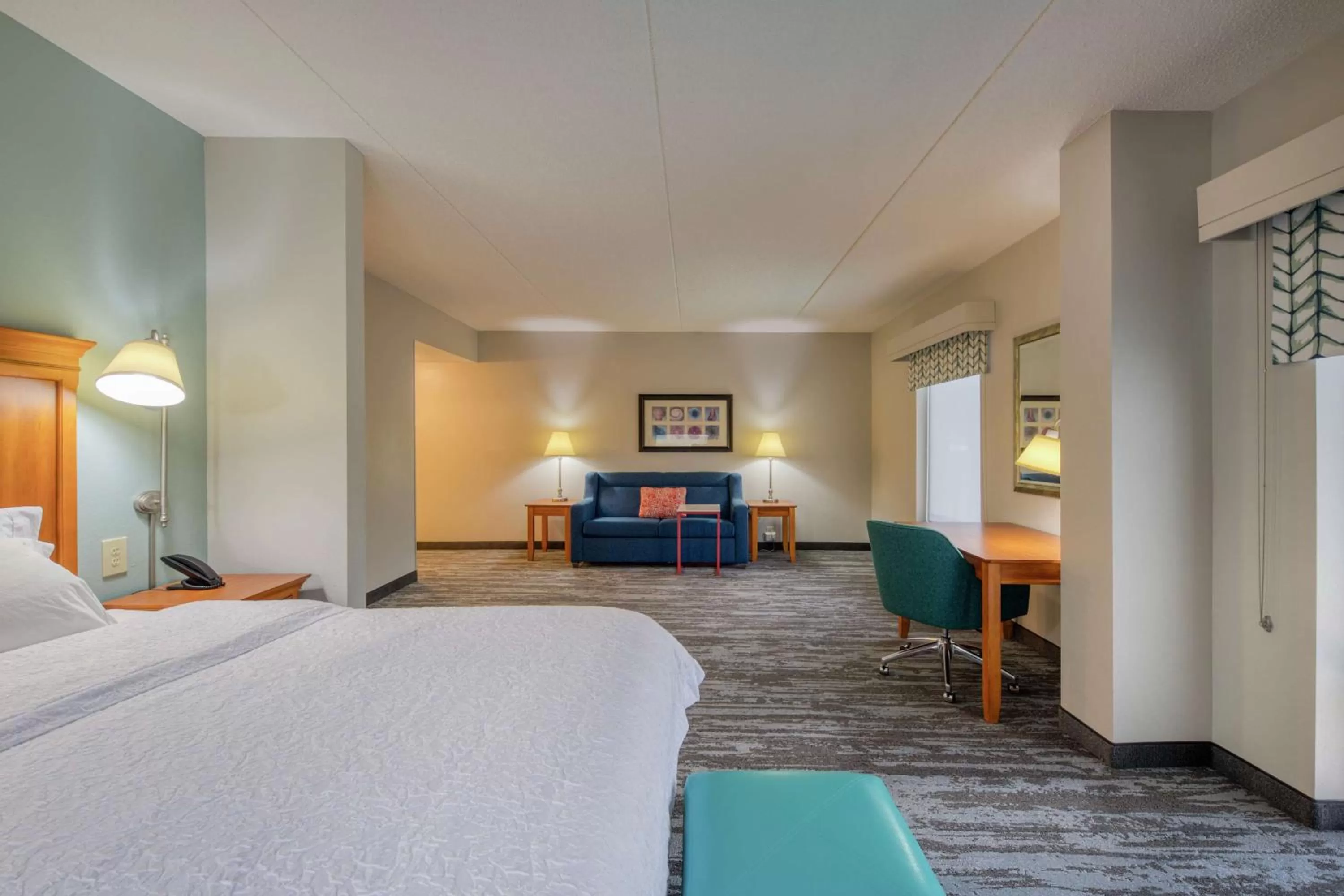 King Studio with Sofa Bed - Non-Smoking in Hampton Inn Wilmington University Area
