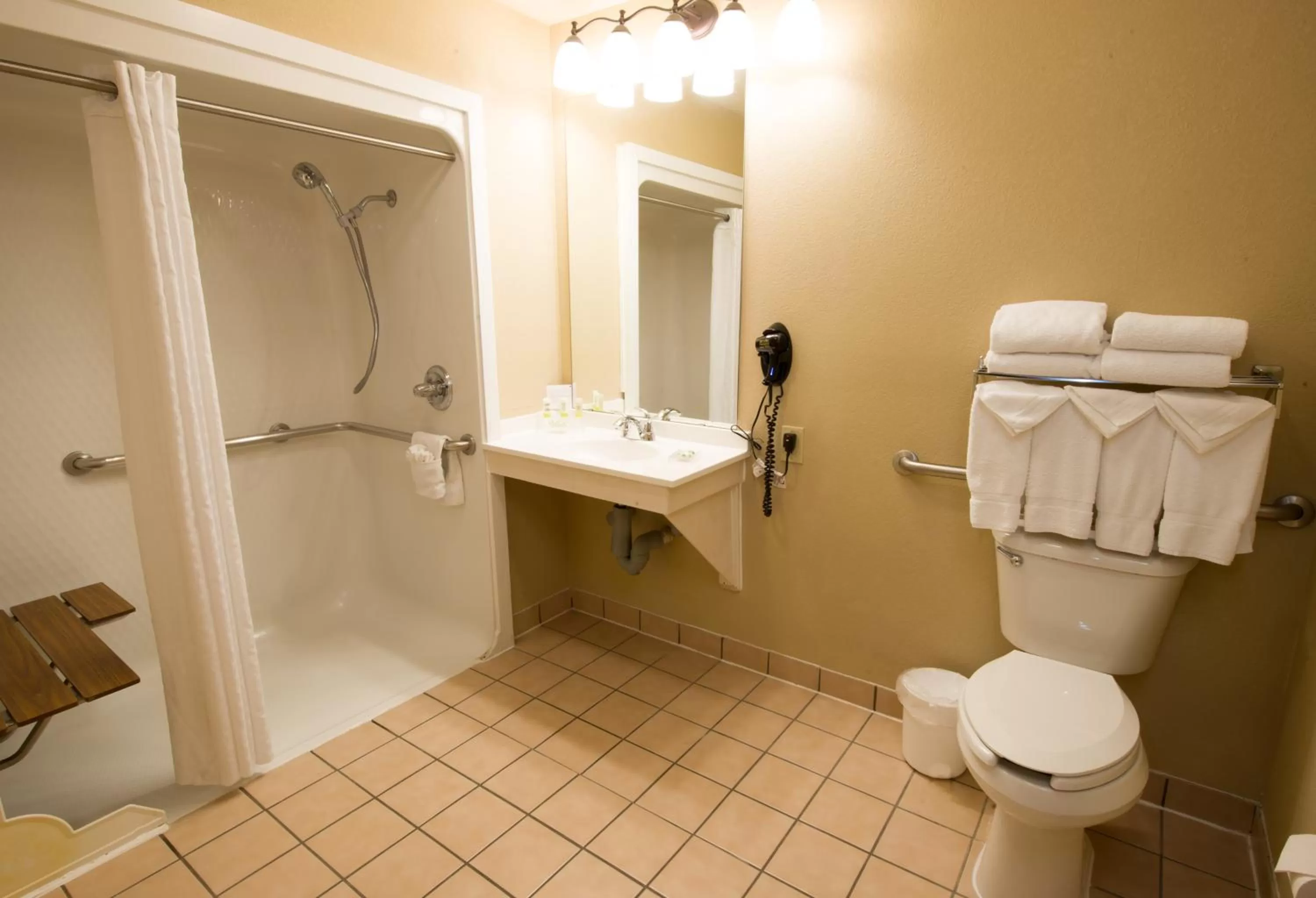 One-Bedroom Suite with Two Queen Beds - Disability Access/Non-Smoking  in Country Inn & Suites by Radisson, Fort Worth, TX