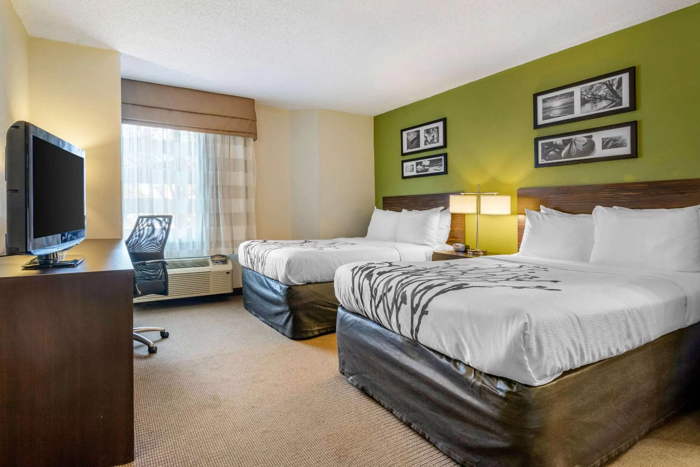 Double Room with Two Double Beds - Non-Smoking in Sleep Inn I-95 North Savannah