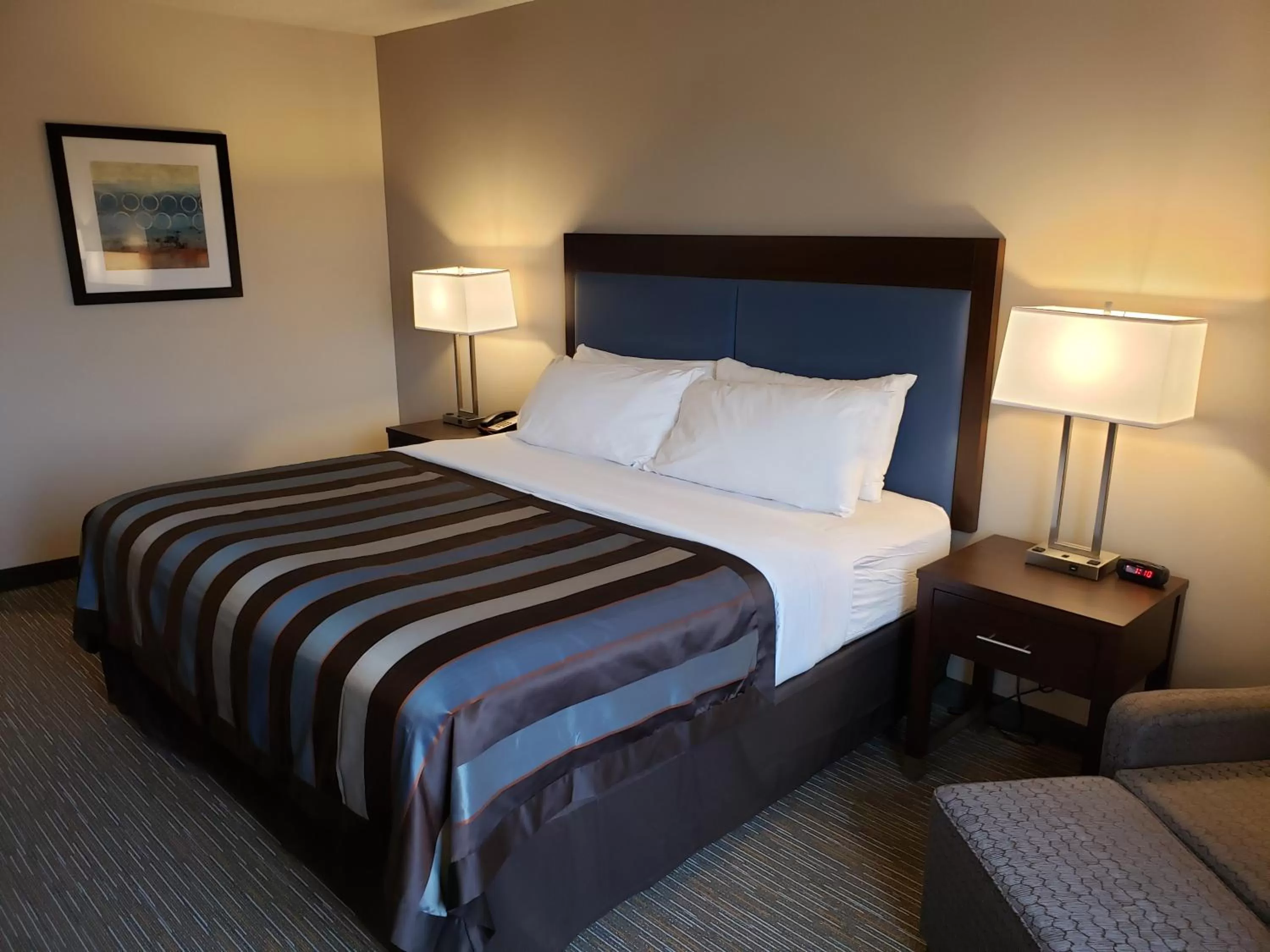 King Suite - Non-Smoking in Wingate by Wyndham Christiansburg