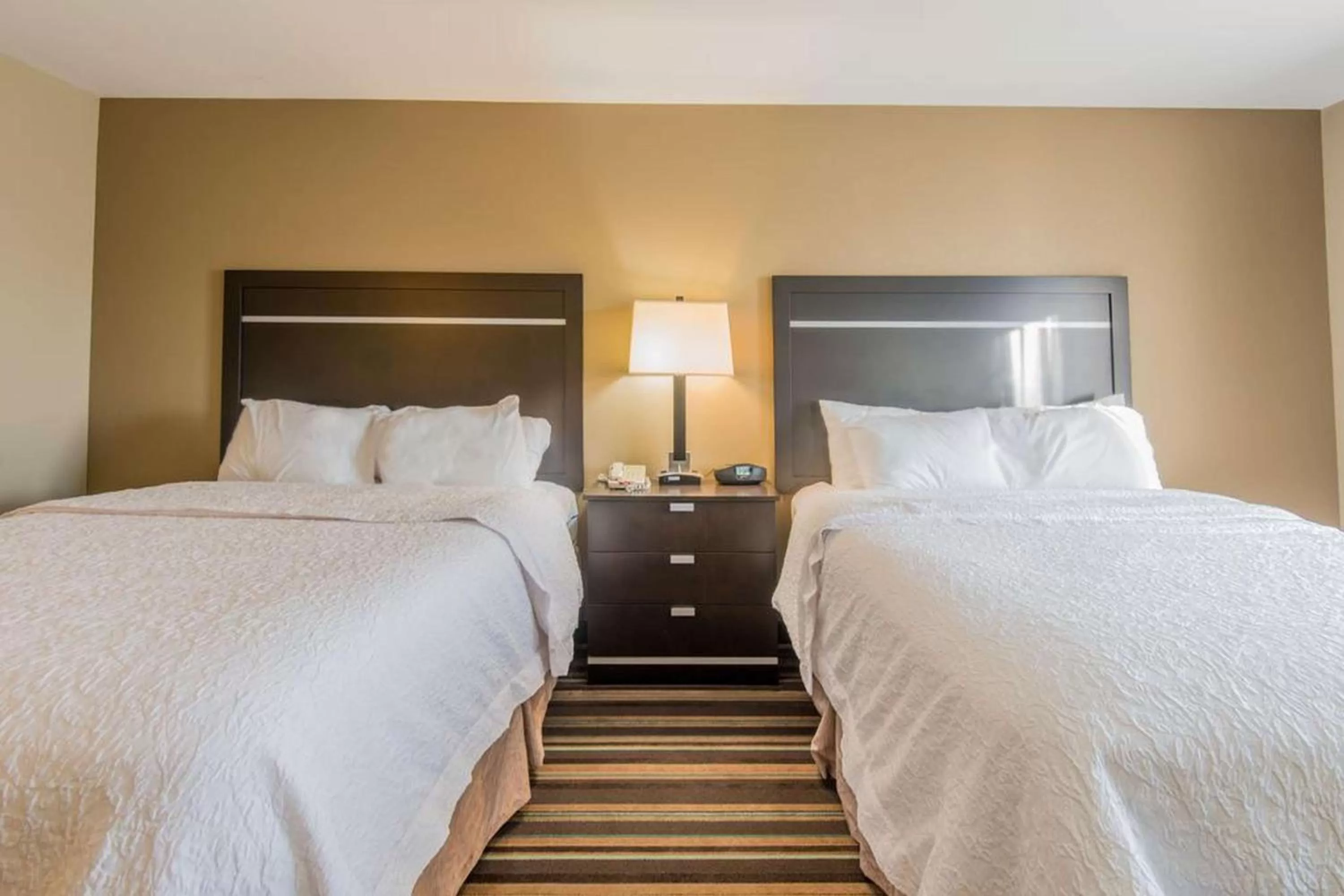 Queen Studio Suite with Two Queen Beds - Non-Smoking in Hampton Inn New Albany