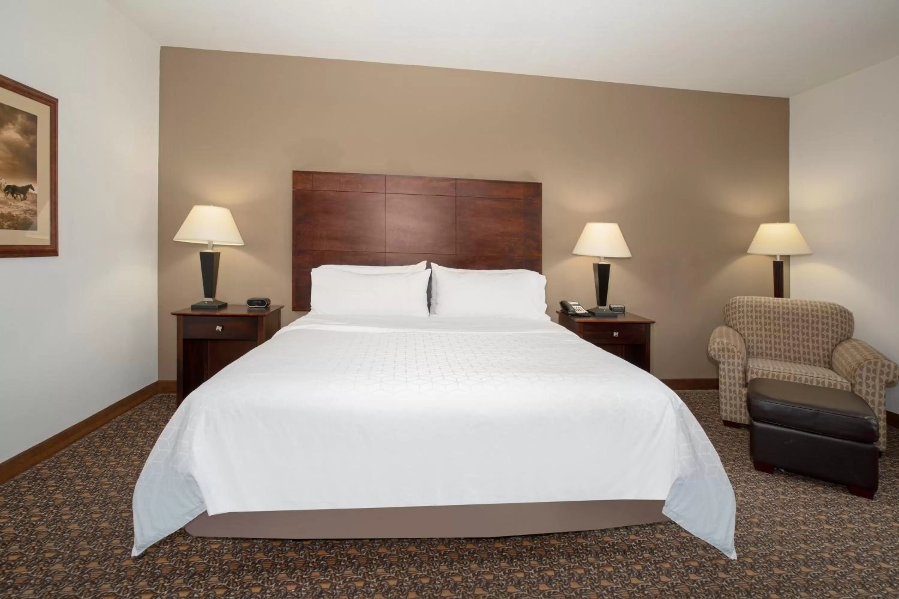 Standard King Room in Holiday Inn Express Hotel & Suites Lander by IHG