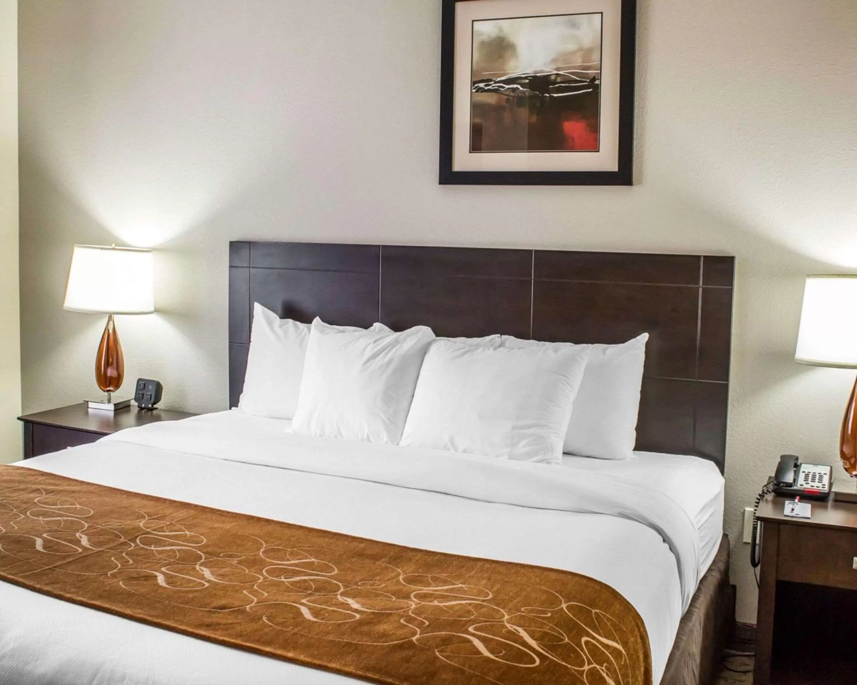 King Room - Non-Smoking in Comfort Suites Wilson - I - 95