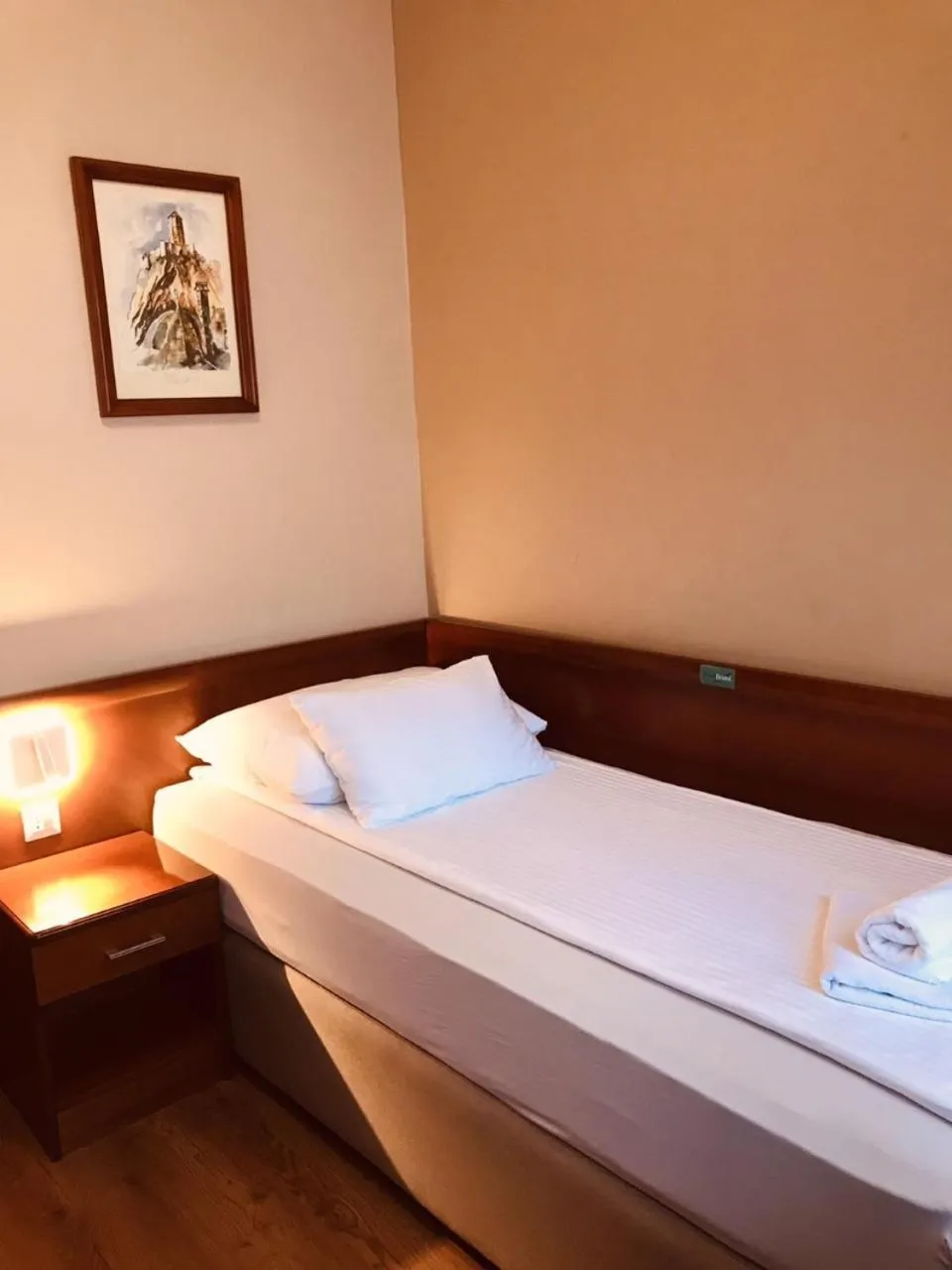 Single Room in Hotel Bristol