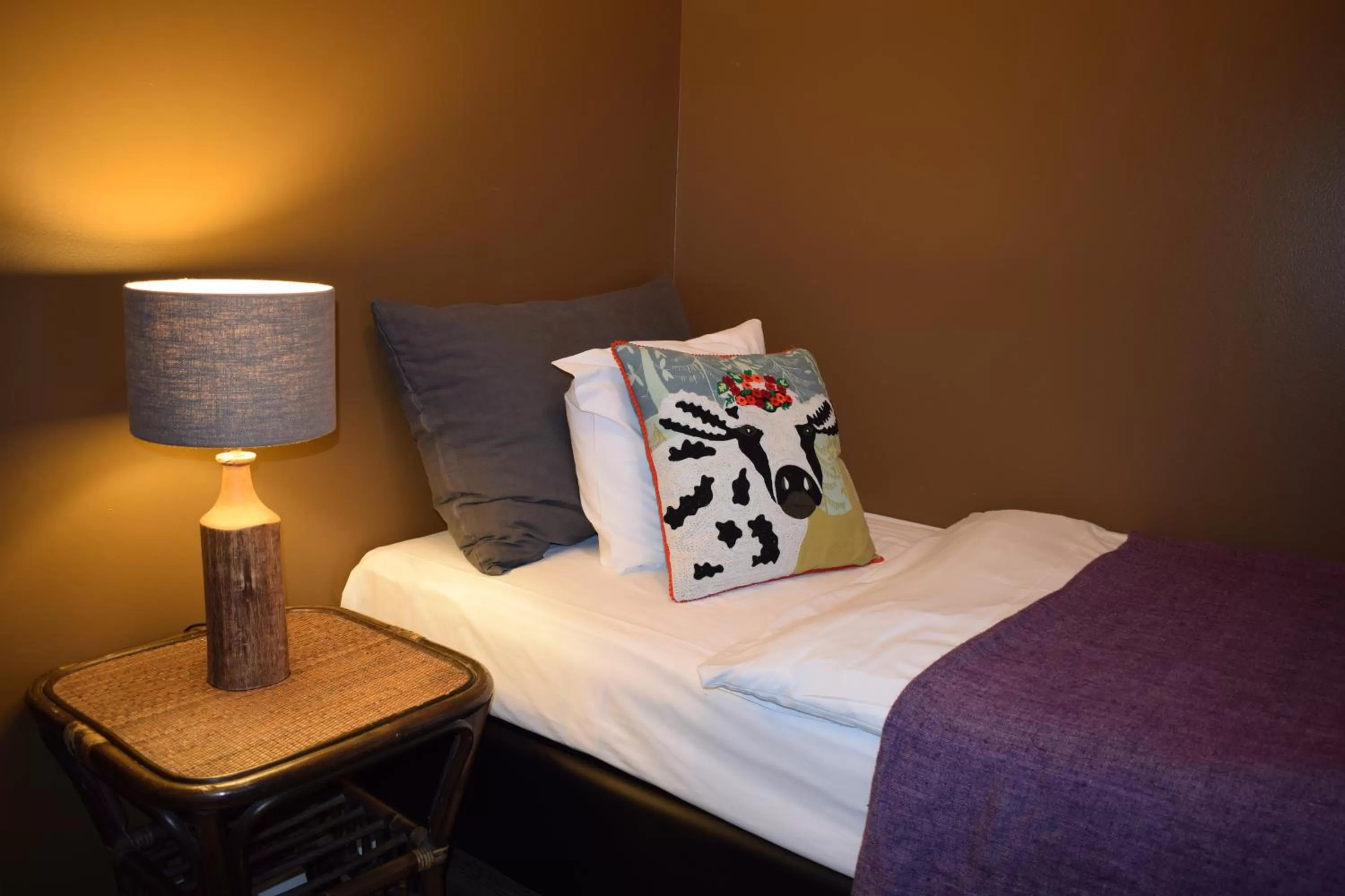 Single Room in Hotel Leifur Eiriksson