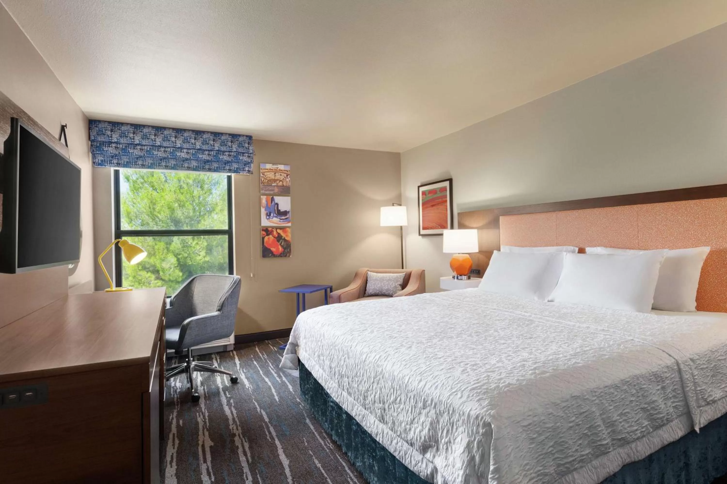 King Room with King Bed - Non-Smoking in Hampton Inn Sacramento/Rancho Cordova