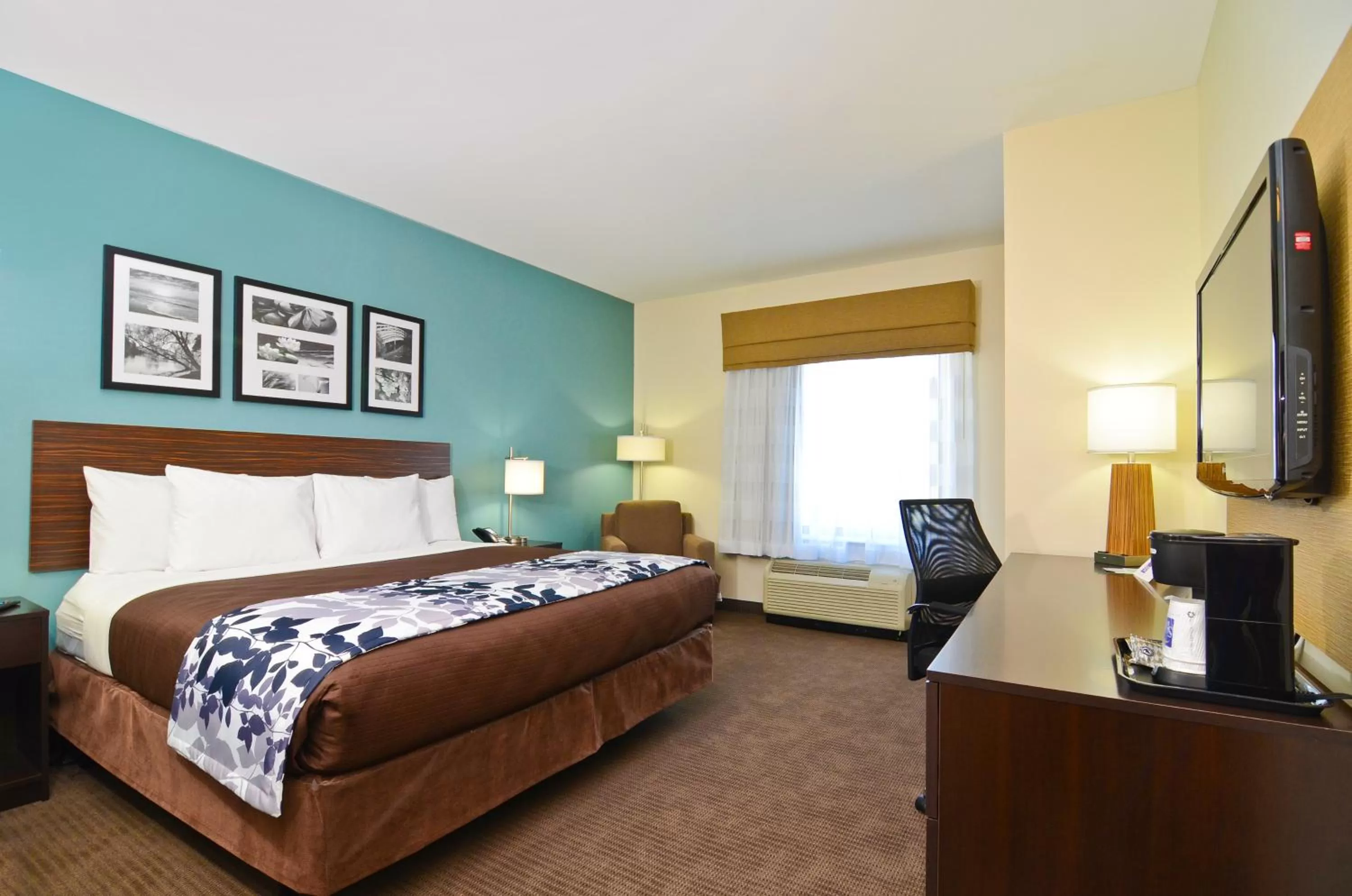 King Suite with Sofa Bed - Non-Smoking in Sleep Inn & Suites Austin North - I-35