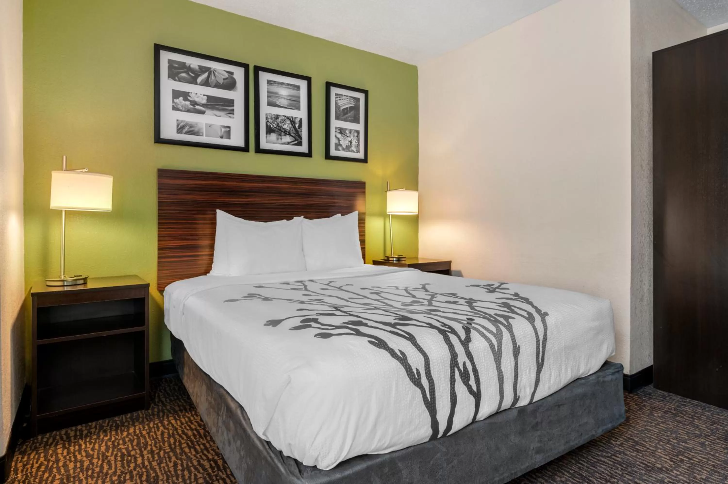 Efficiency King Room - Accessible/Non-Smoking in Sleep Inn Naperville - Chicago