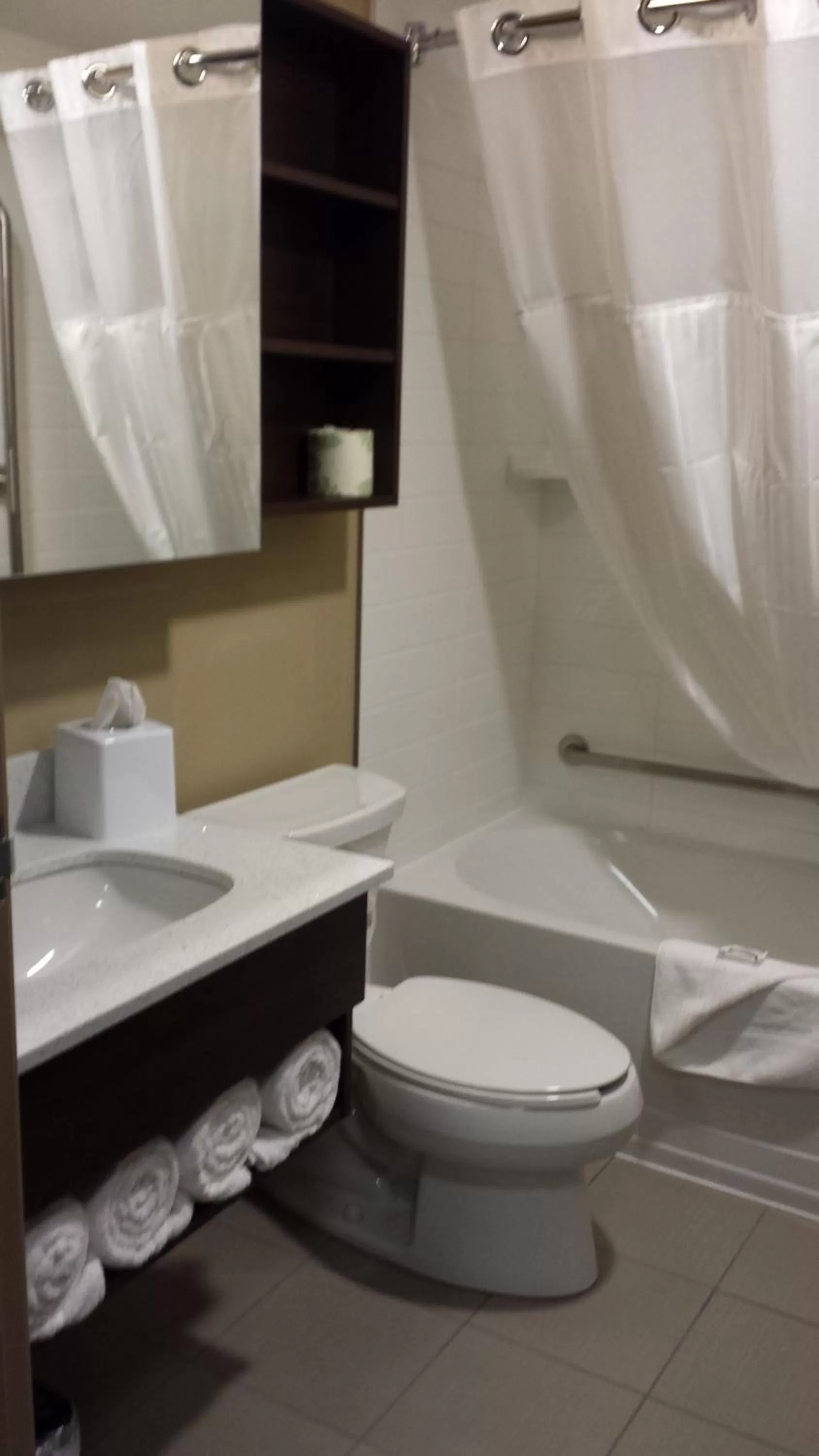 Queen Room - Disability Access in Microtel Inn & Suites by Wyndham Red Deer