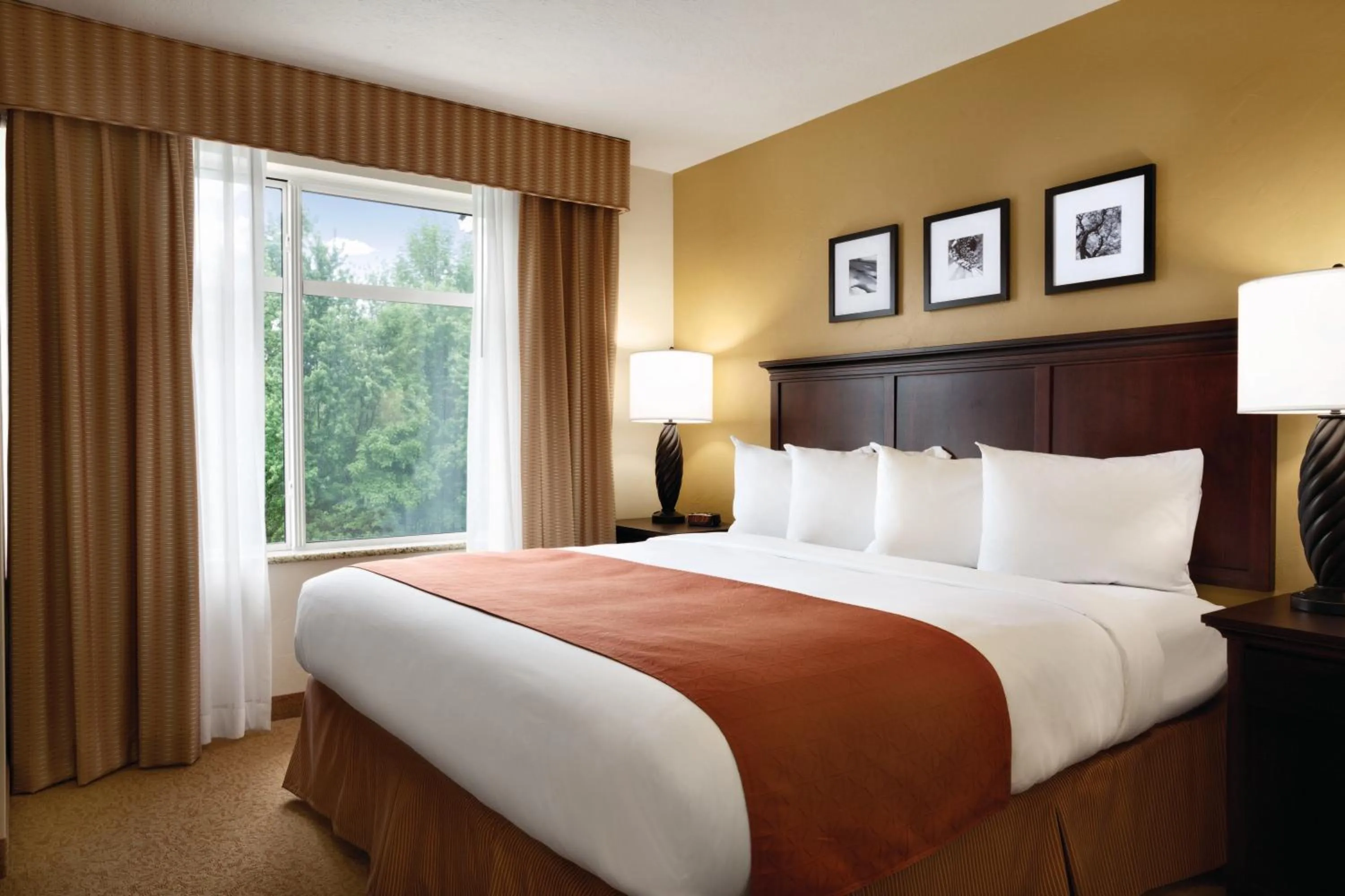 King Room - Non-Smoking in Country Inn & Suites by Radisson, Columbia at Harbison, SC
