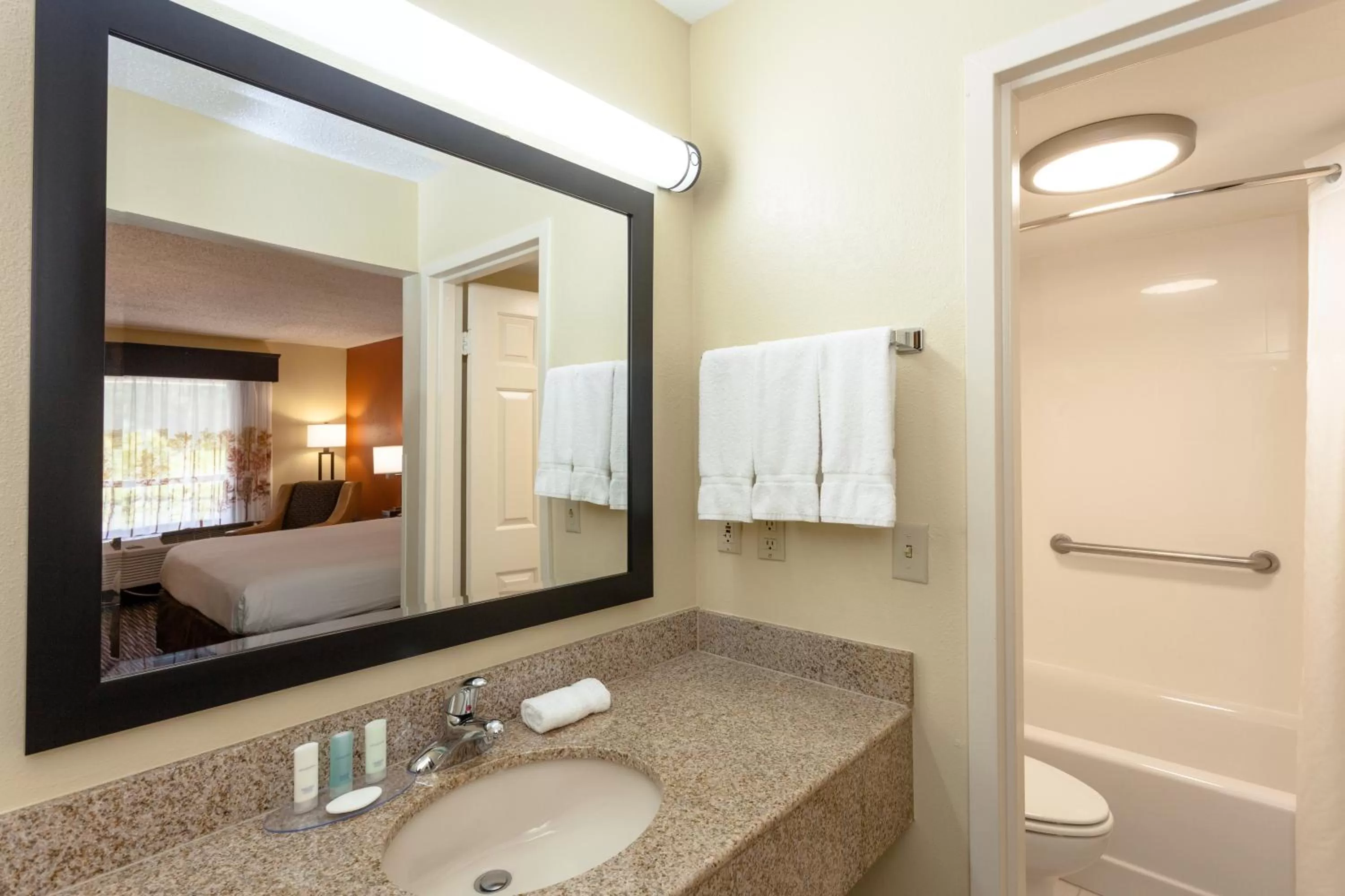 King Room - Accessible/Non-Smoking in Clarion Inn Biltmore Village