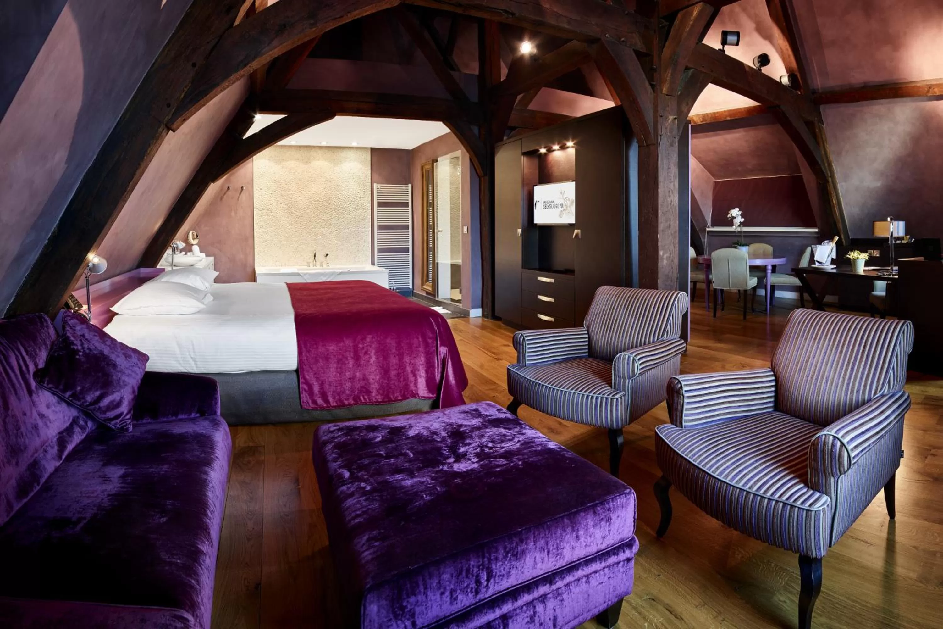 Suite in Van Der Valk Sélys Liège Hotel & Spa