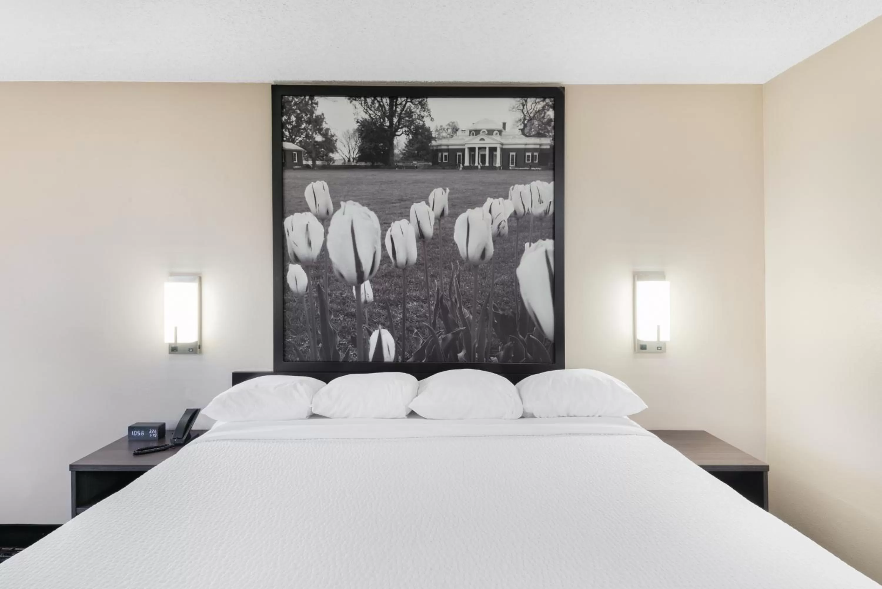 King Room - Non-Smoking in Super 8 by Wyndham Charlottesville