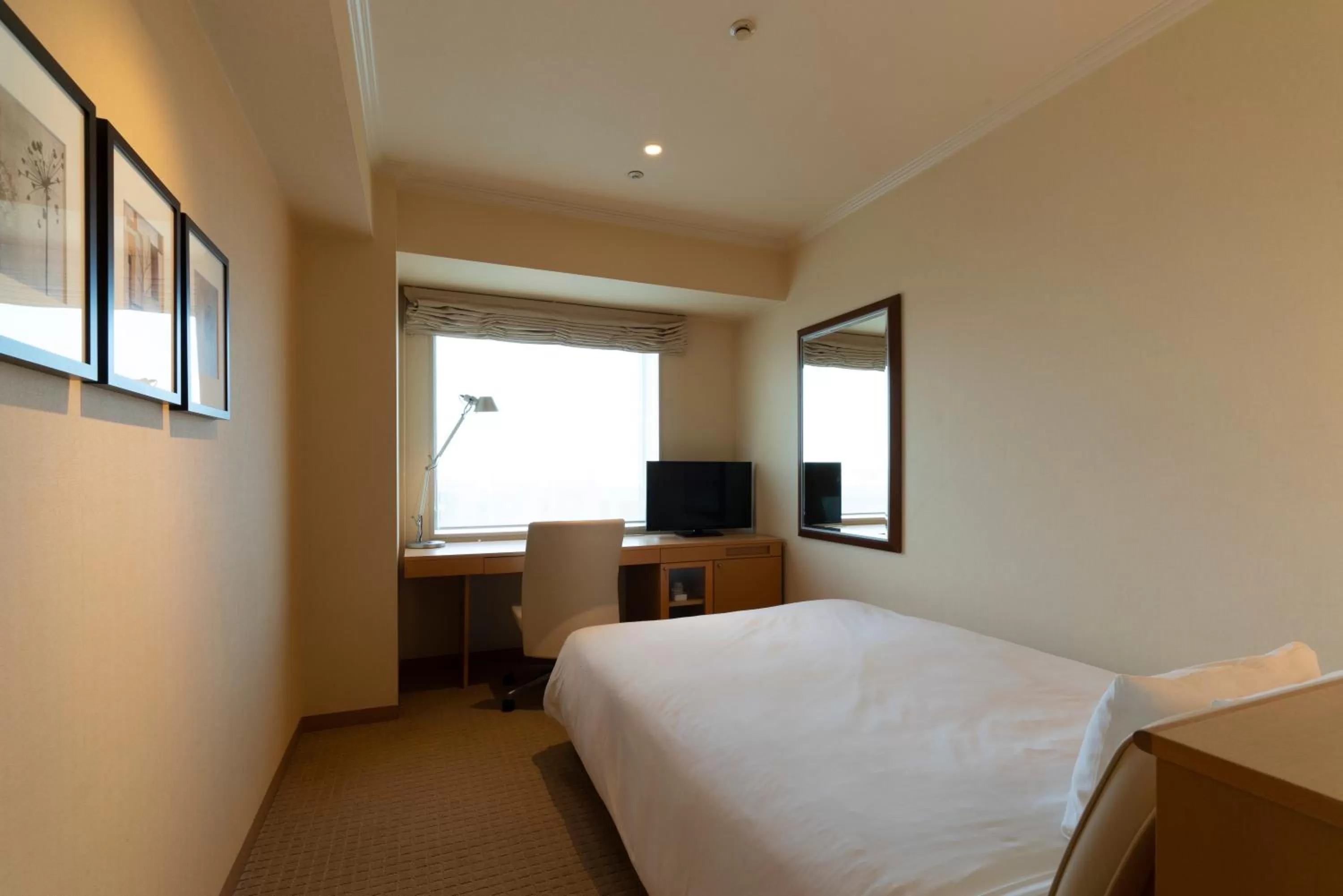 Standard Double Room - single occupancy - Non-Smoking in Hotel Associa Toyohashi