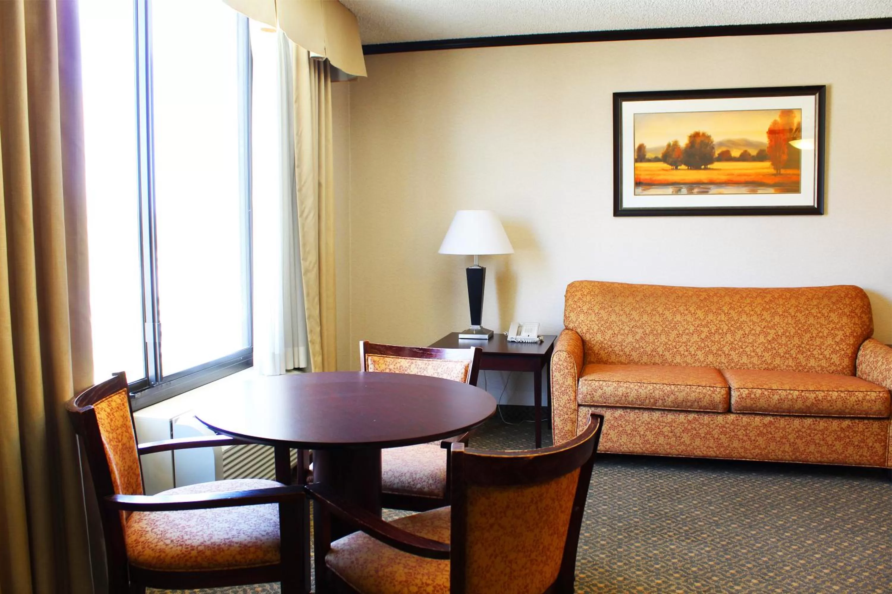 Suite with City View in Hotel Burbank