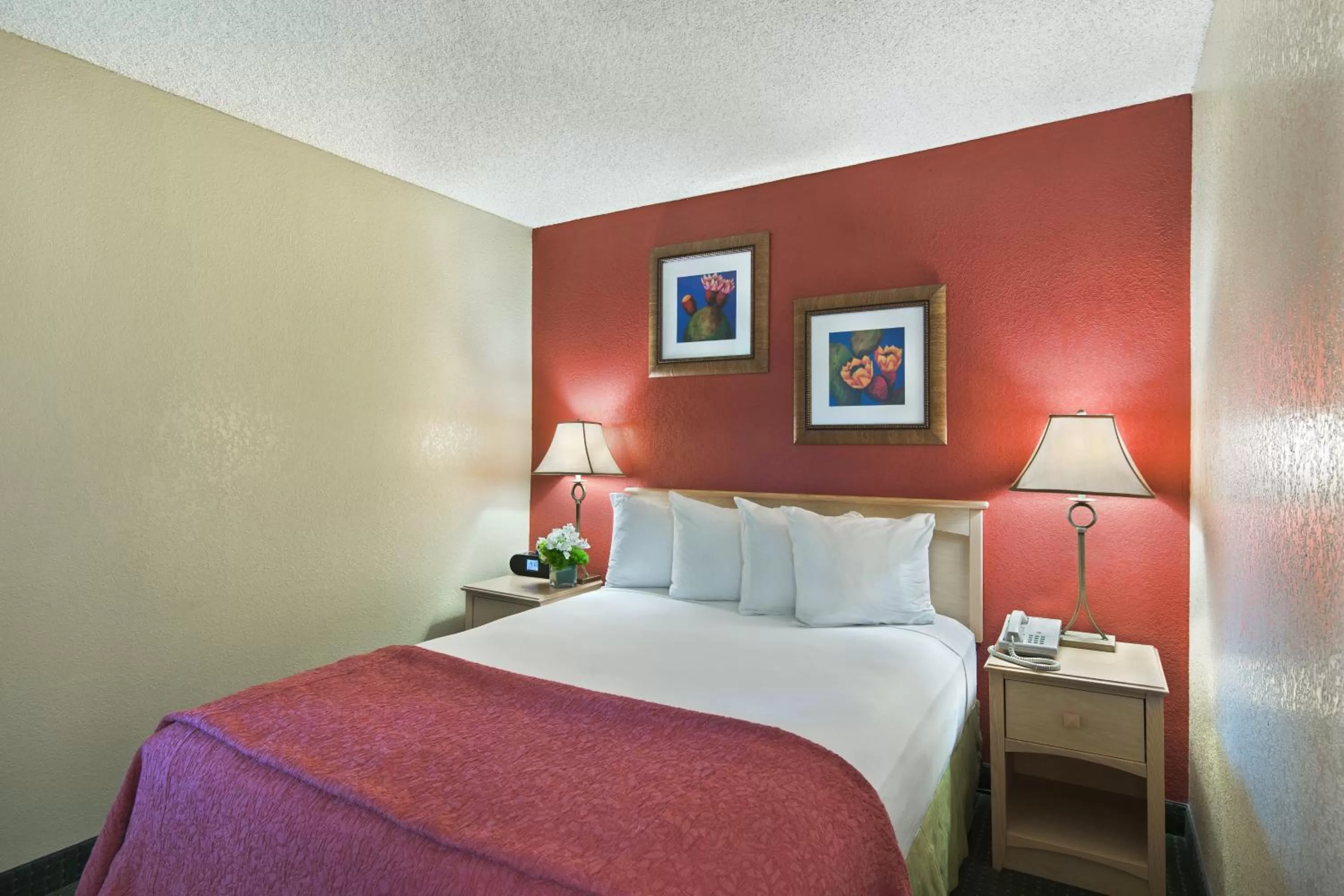 Pool View Extended Stay Queen Suite  in Oxford Suites Lancaster
