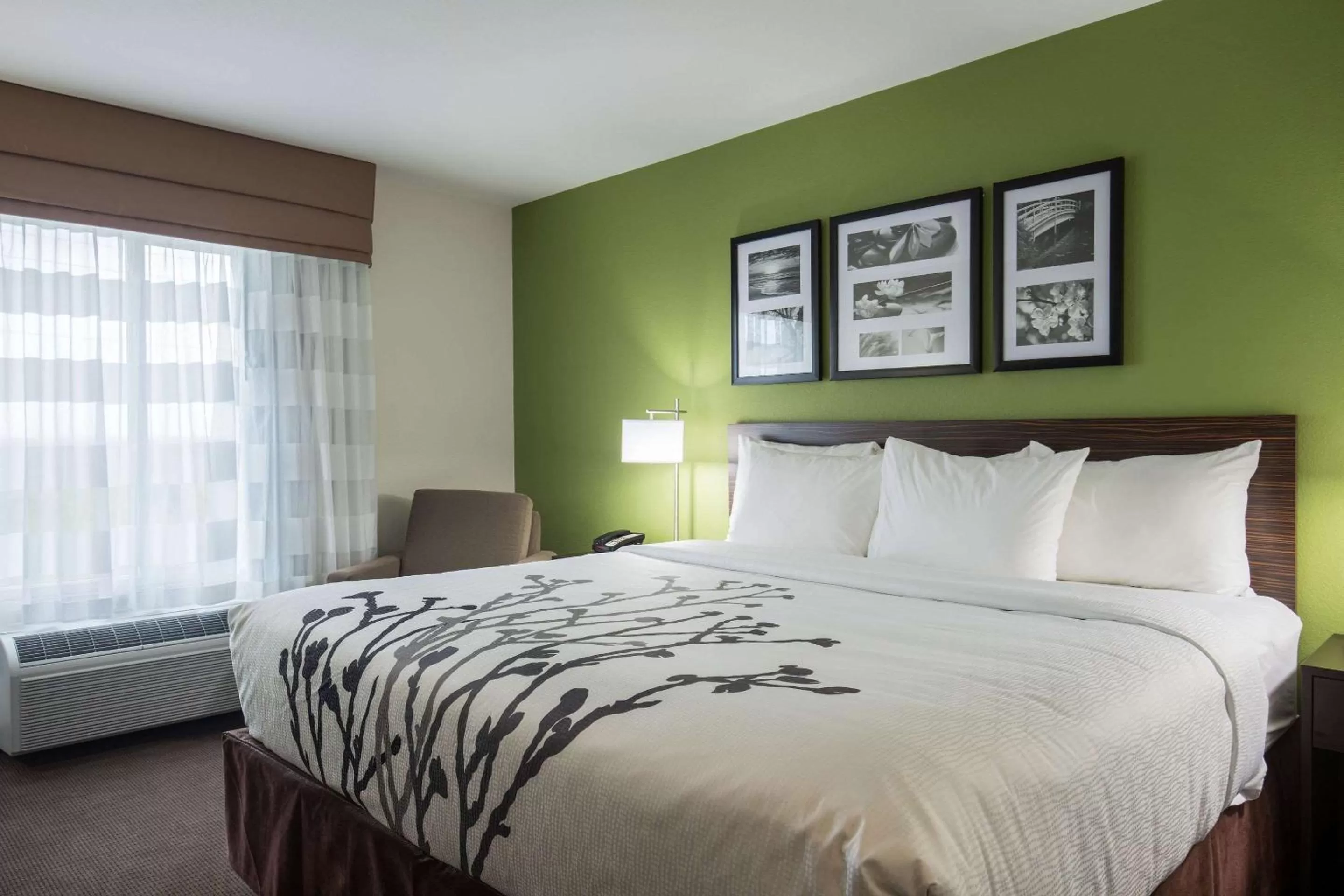 Standard King Room - Non-Smoking  in Sleep Inn & Suites