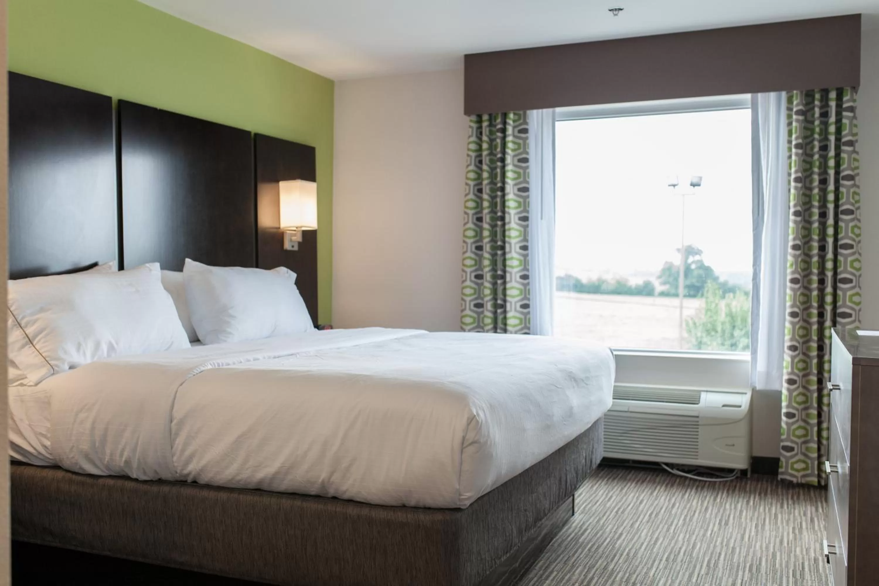 King Suite - Non-Smoking in Holiday Inn Express & Suites Sweetwater by IHG