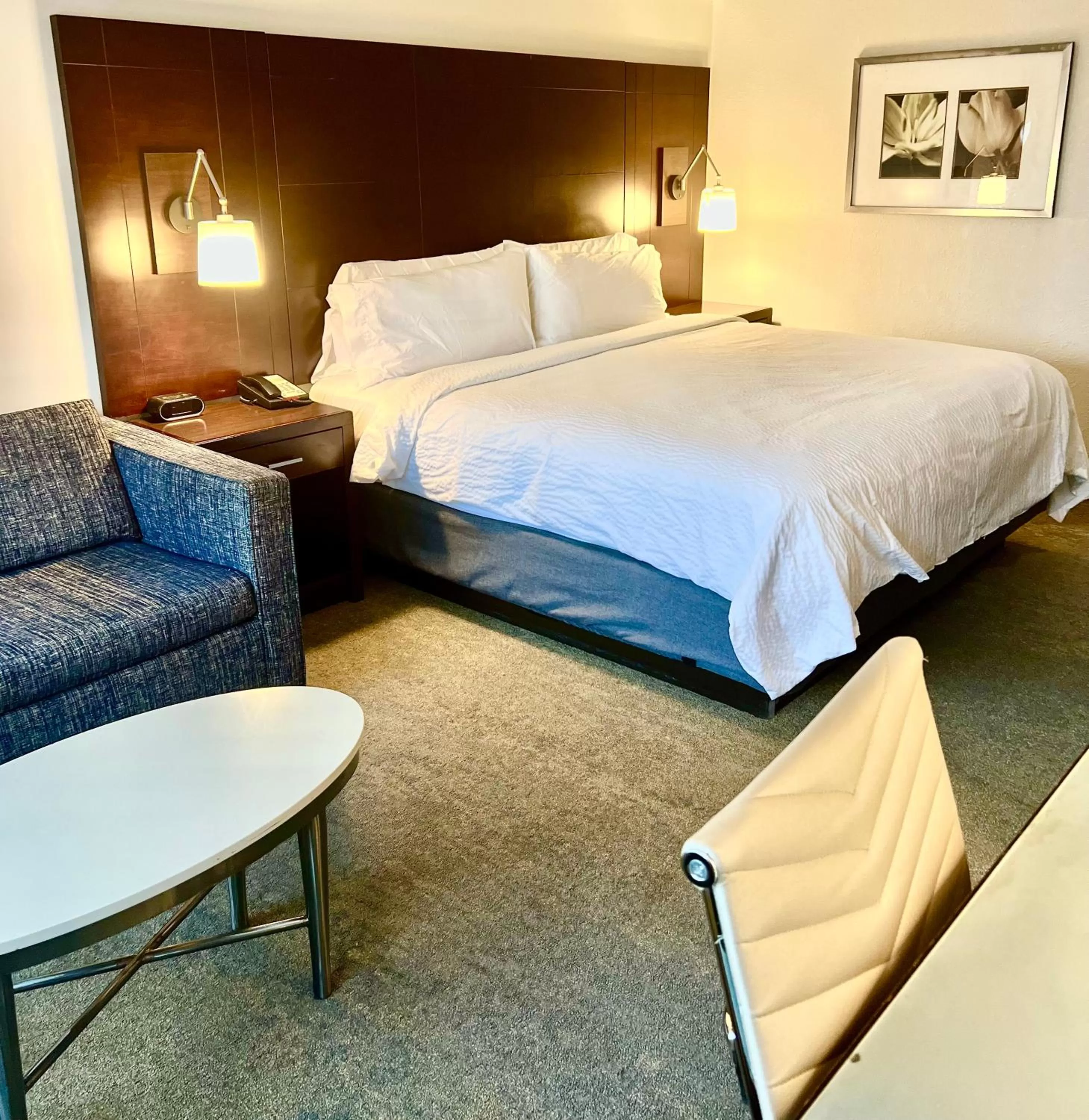 Standard King Room with Mobility Accessible Roll-In Shower in Holiday Inn Virginia Beach - Norfolk by IHG