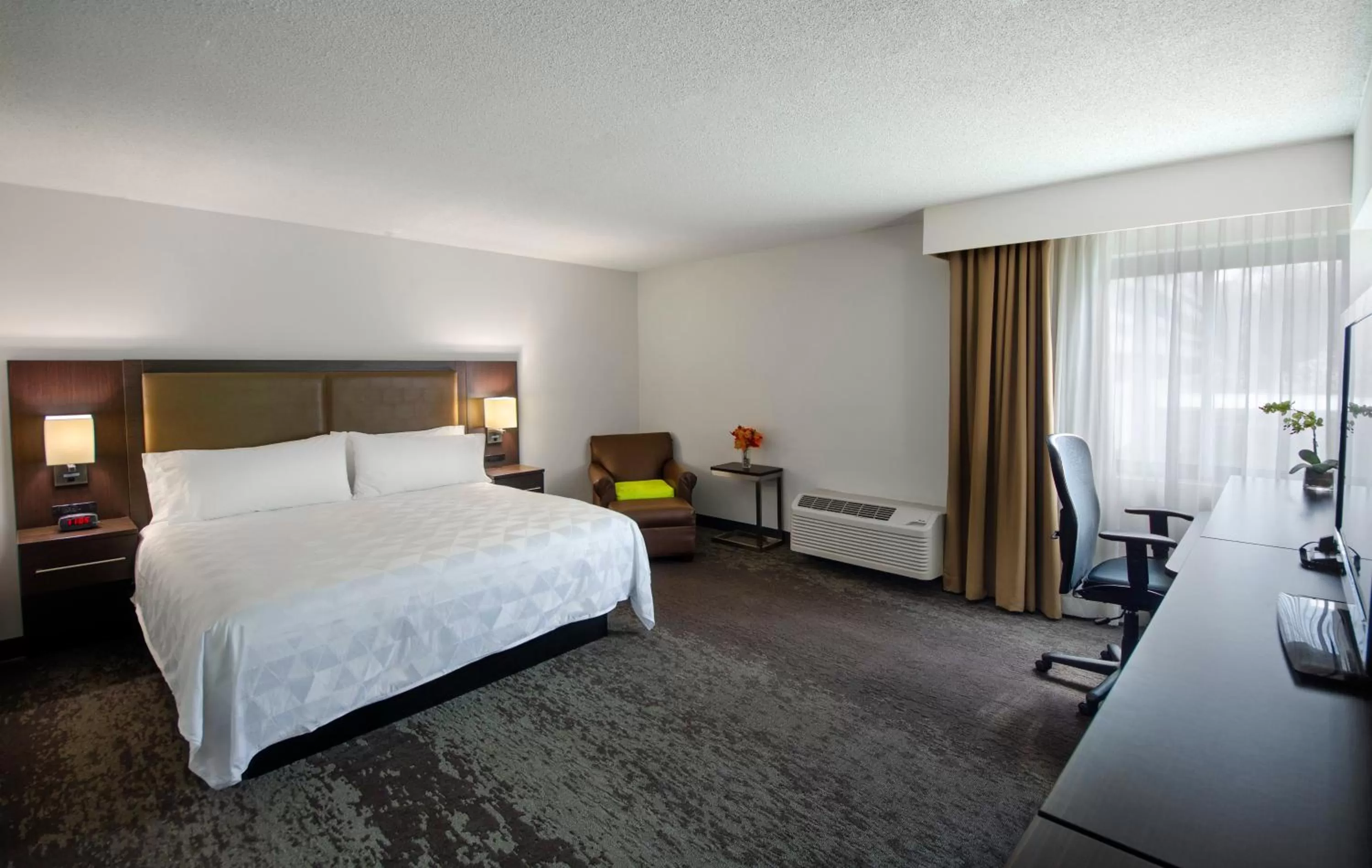 Standard King Room in Holiday Inn Princeton by IHG