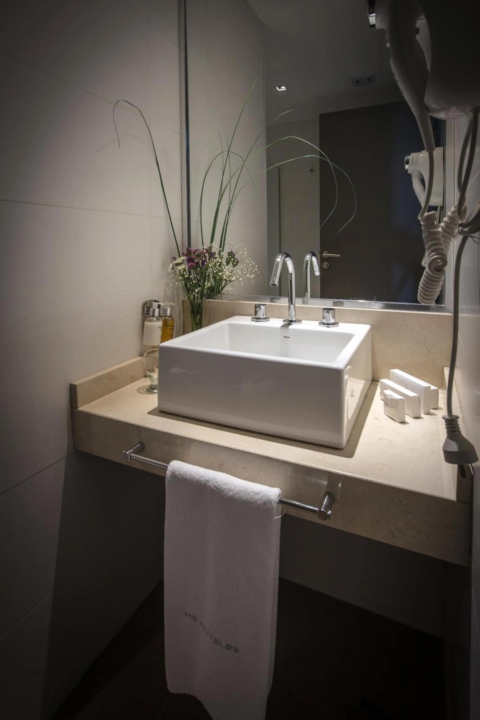 Twin Room in Hotel Comahue Business