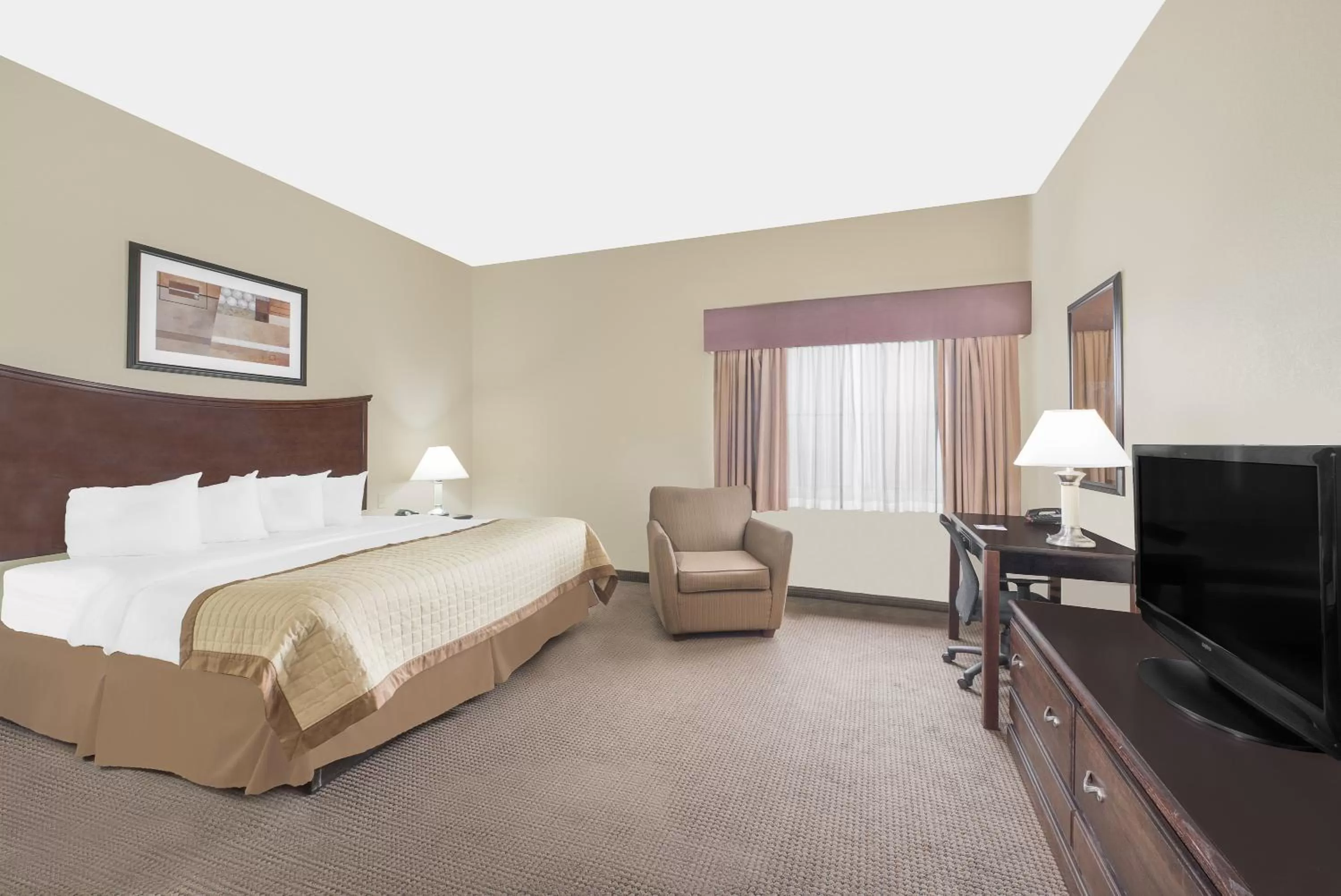 Business King Room - Non-Smoking in Baymont by Wyndham Snyder