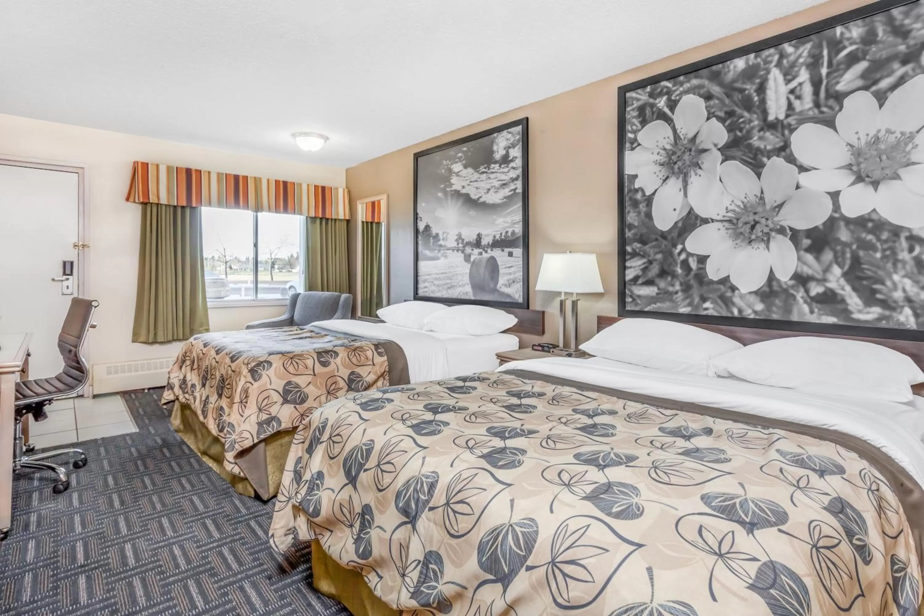 Superior Queen Room with Two Queen Beds - Non-Smoking in Super 8 by Wyndham Stettler