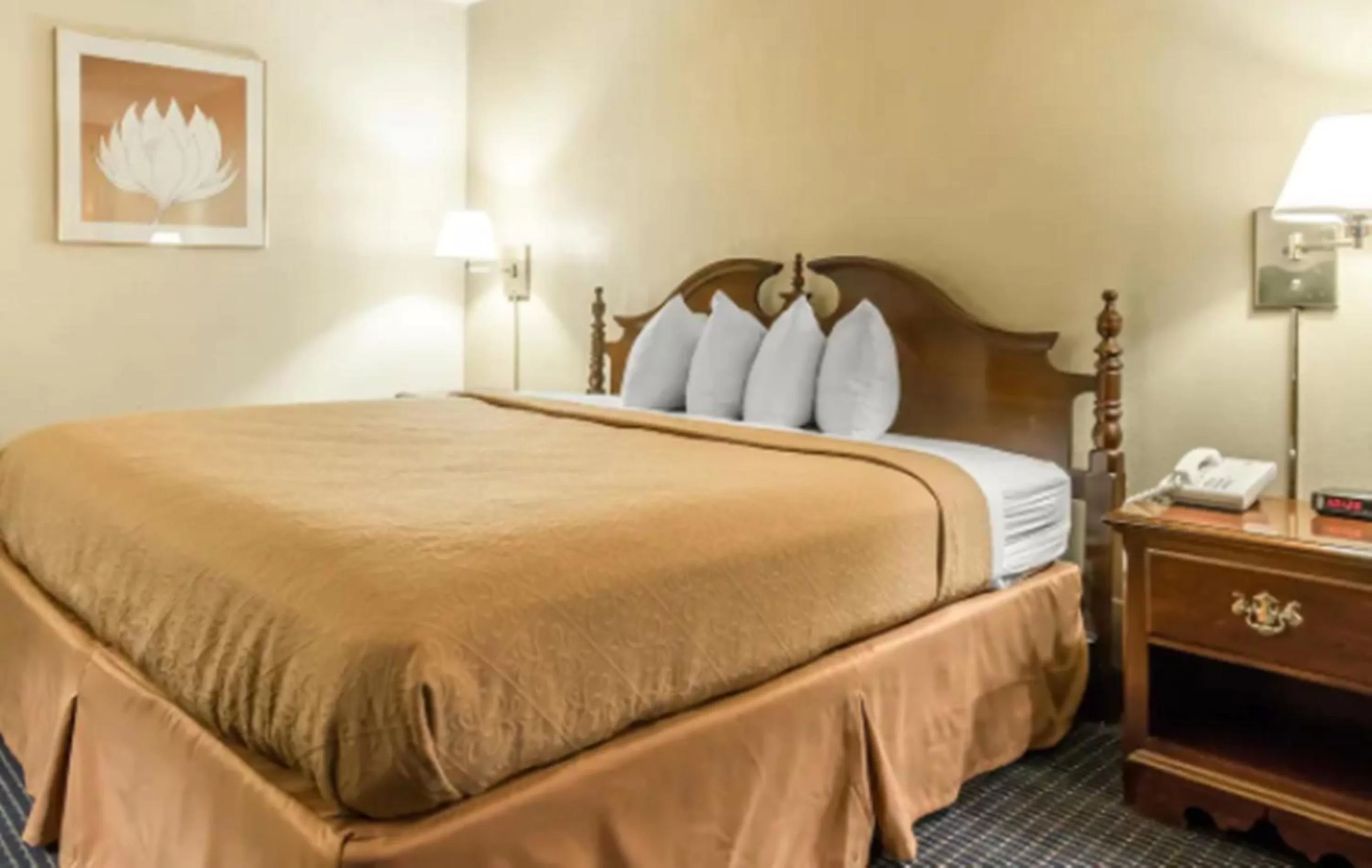 Double Room - Accessible/Non-Smoking in Quality Inn & Conference Center