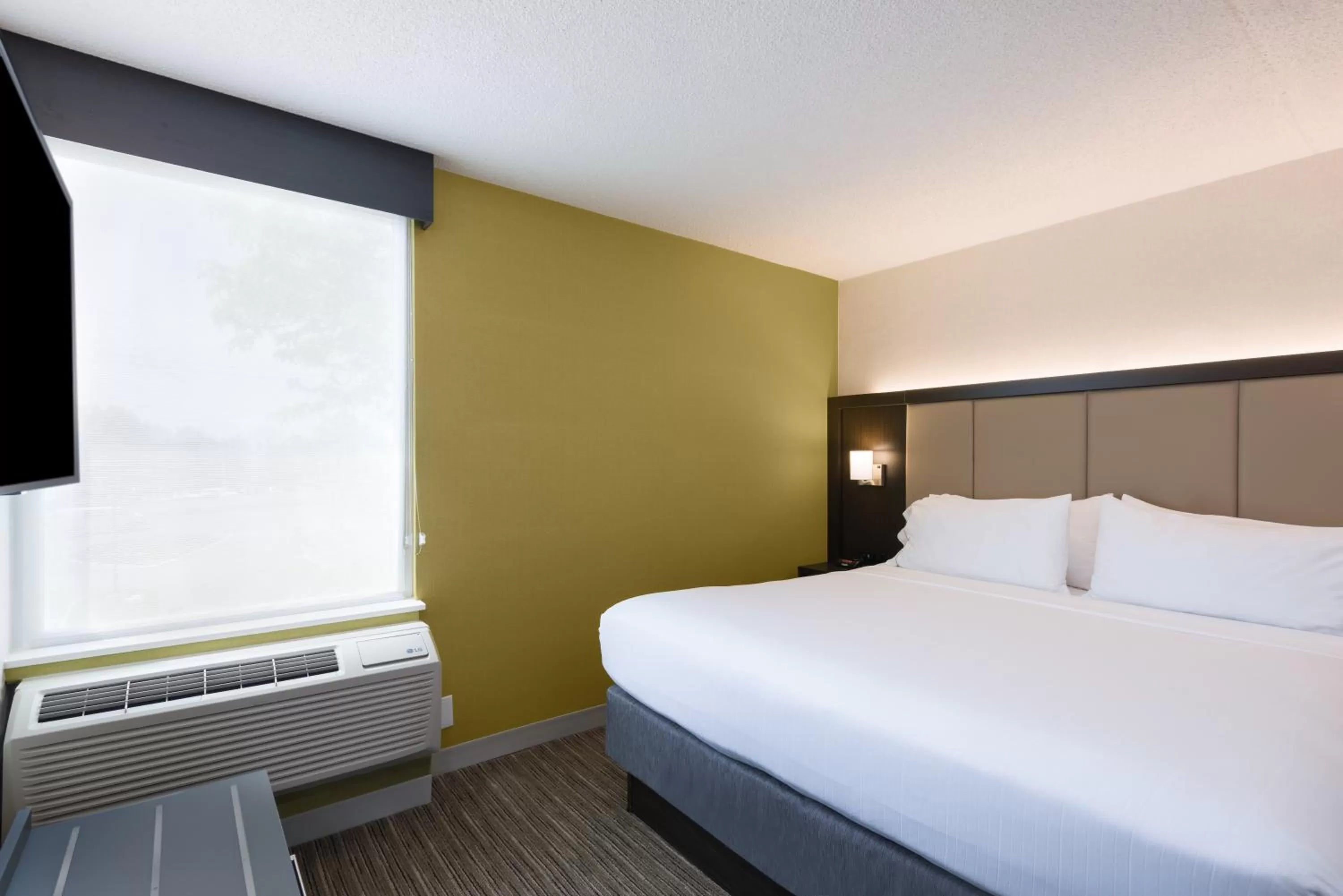 One-Bedroom King Suite in Holiday Inn Express Ramsey Mahwah by IHG