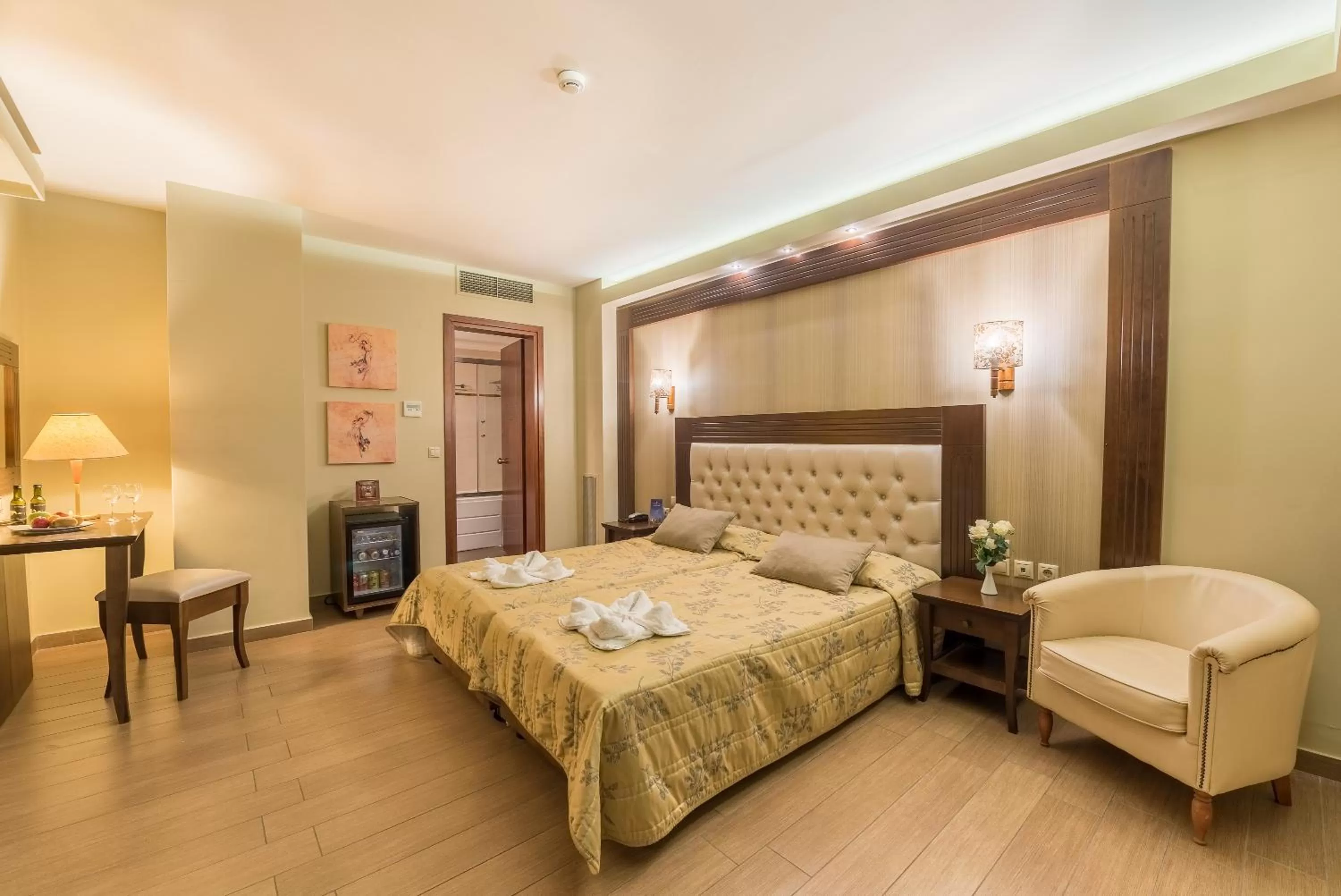 Double or Twin Room - single occupancy in Theofilos Paradise Boutique Hotel