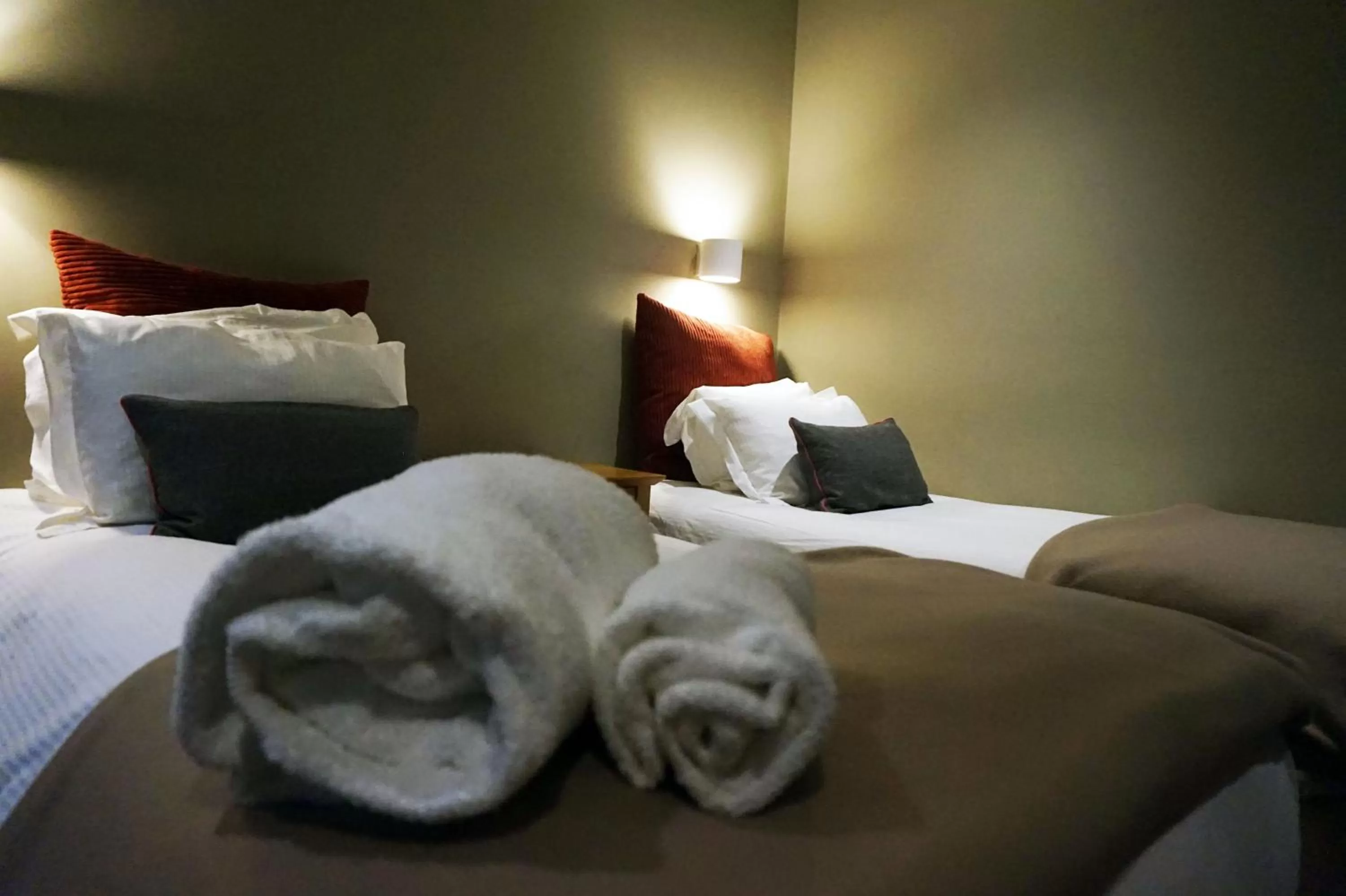 Budget Twin Room in The Penny Farthing Hotel