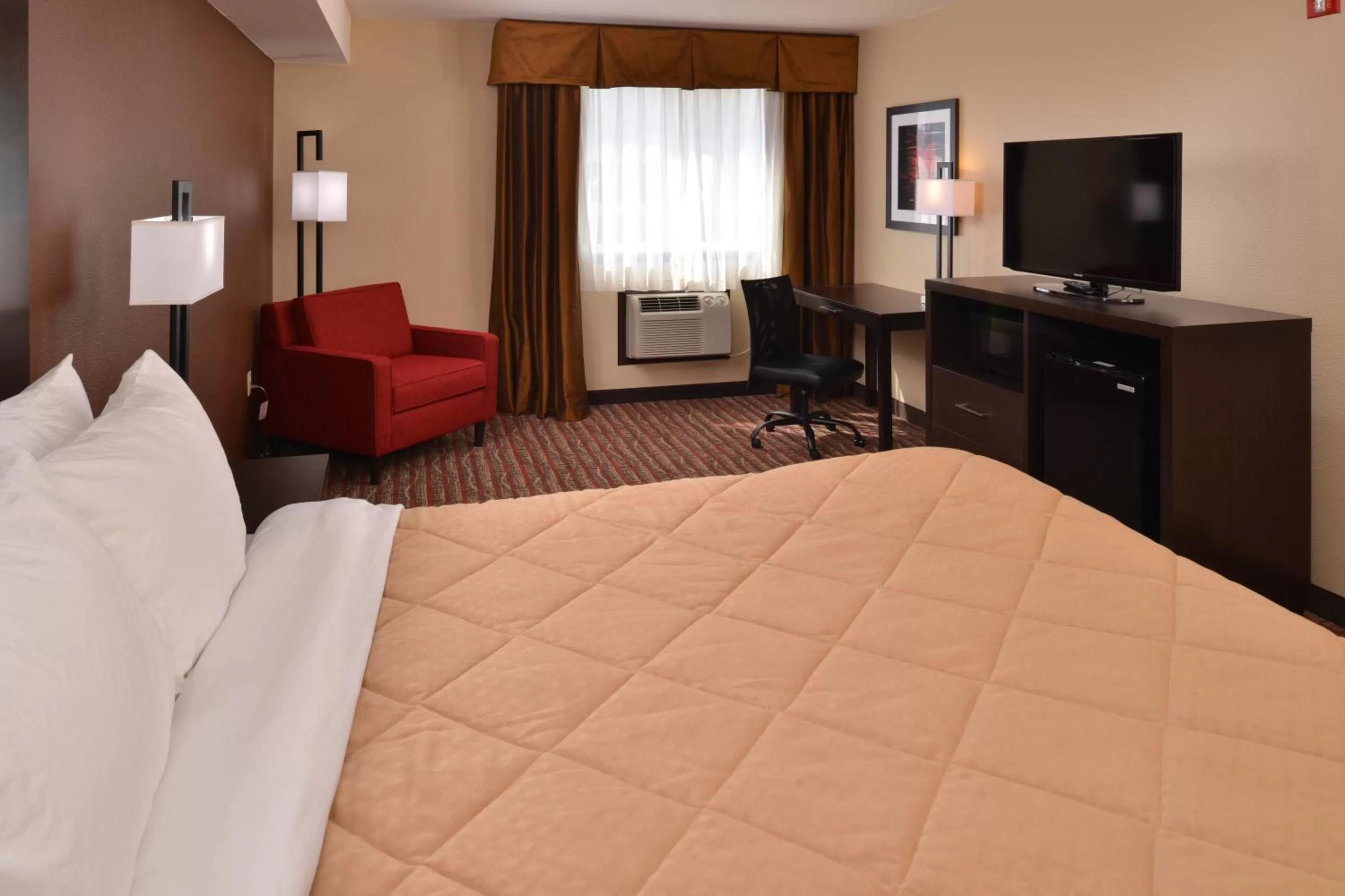 Standard Queen Room in Quality Inn & Suites Tacoma - Seattle