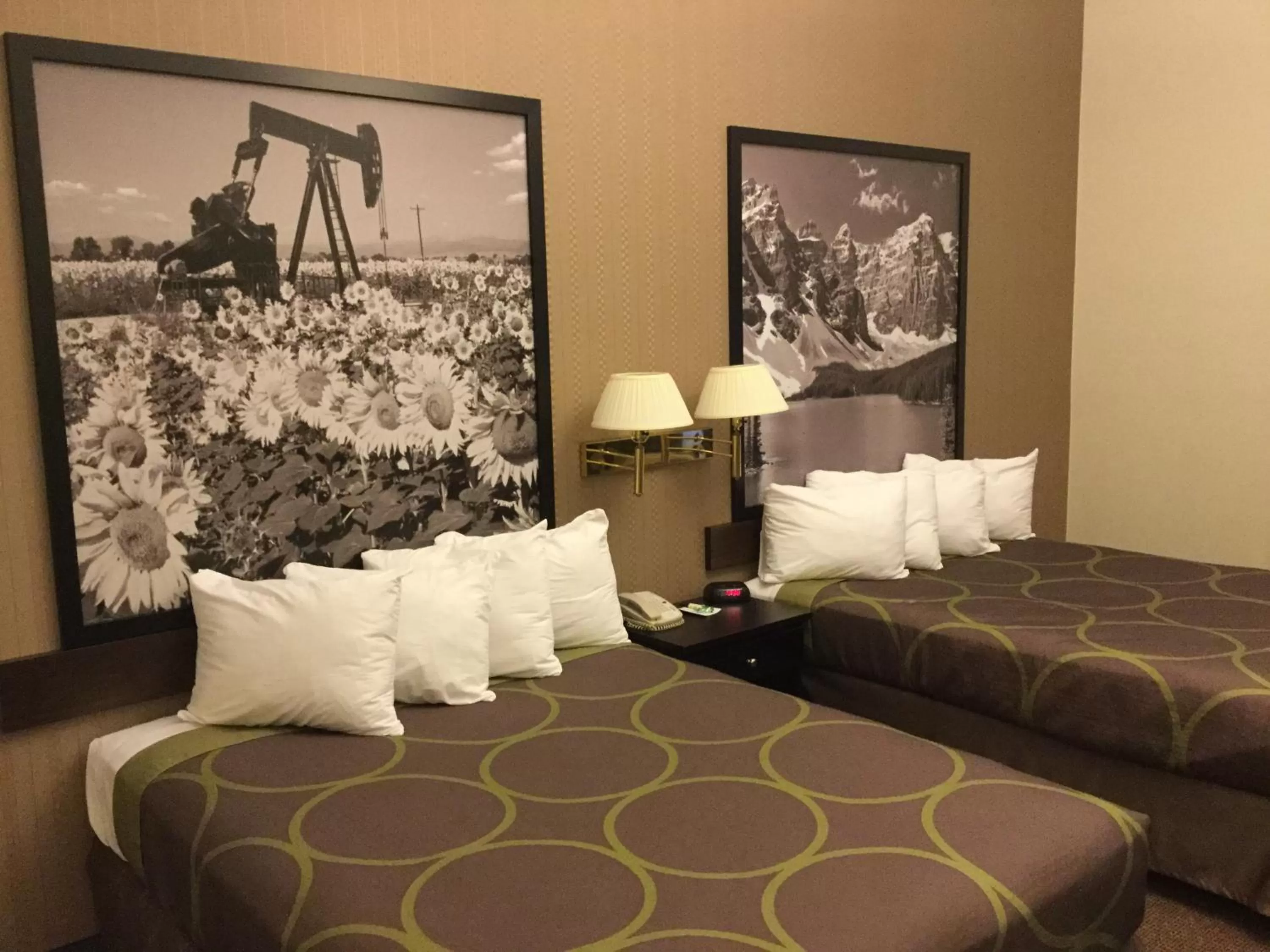 Queen Room with Two Queen Beds - Smoking in Super 8 by Wyndham Edson