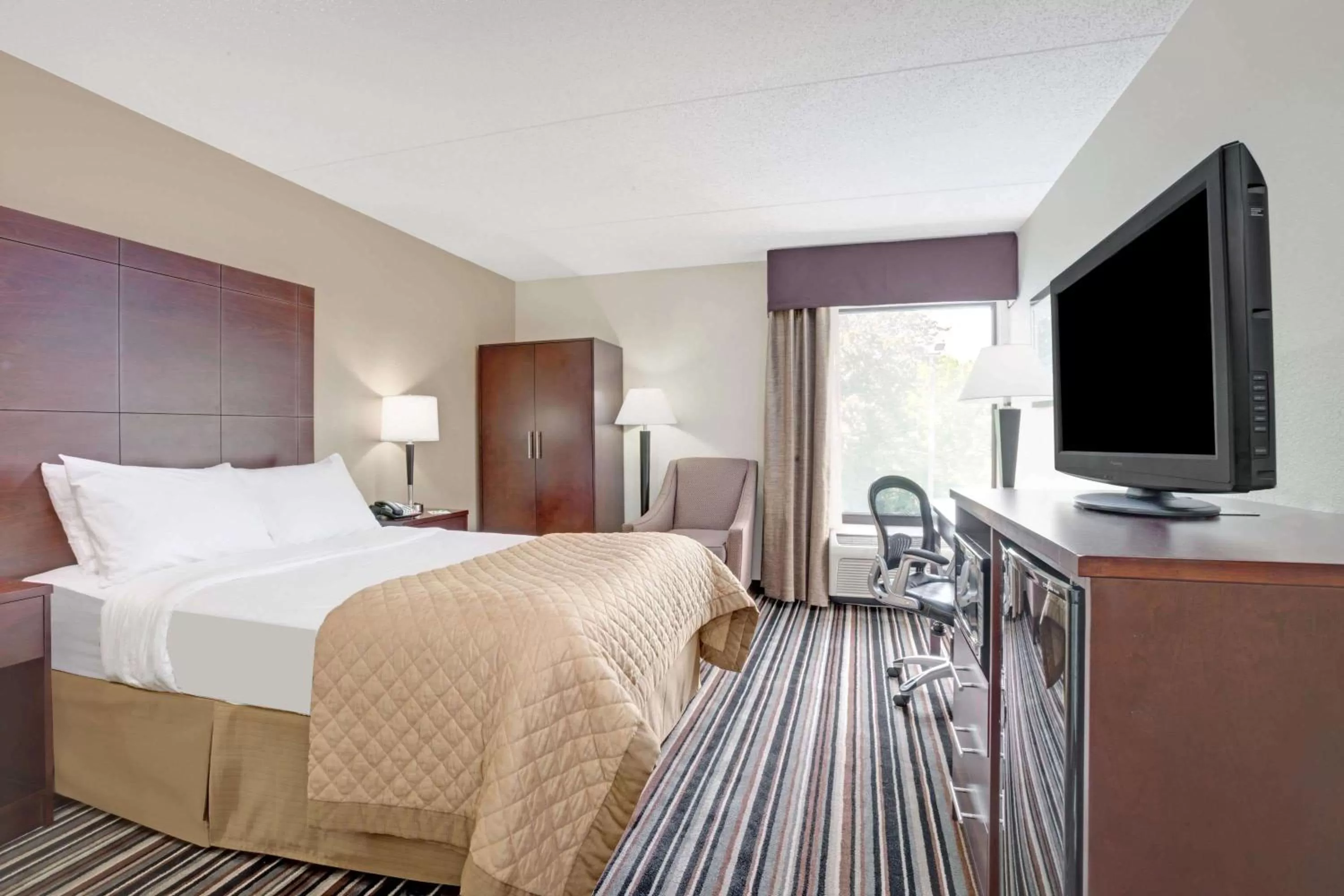 Suite with Two Double Beds - Non-Smoking in Wyndham Garden Charlotte Airport Southeast
