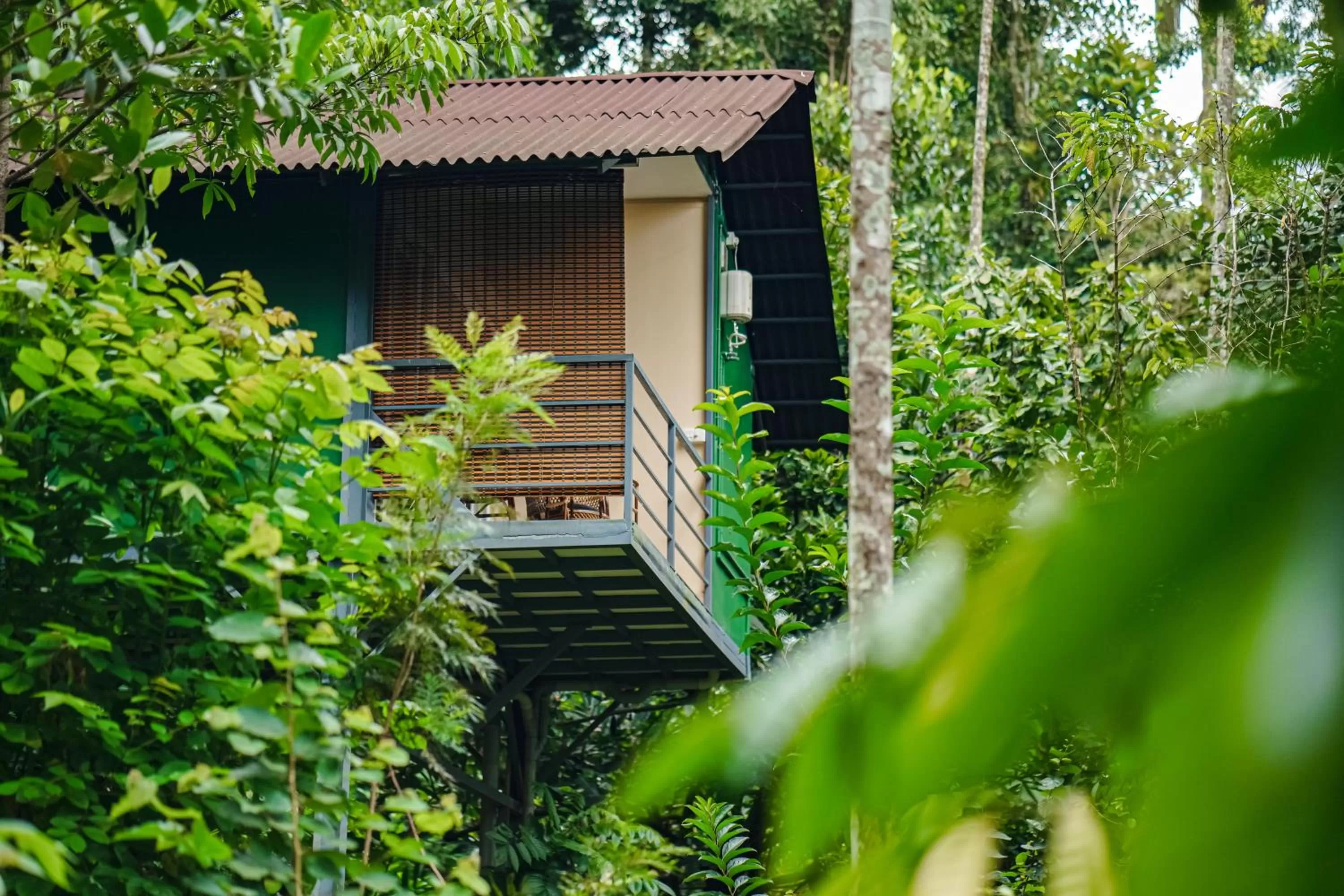 Deluxe Double Room in Edens Munnar