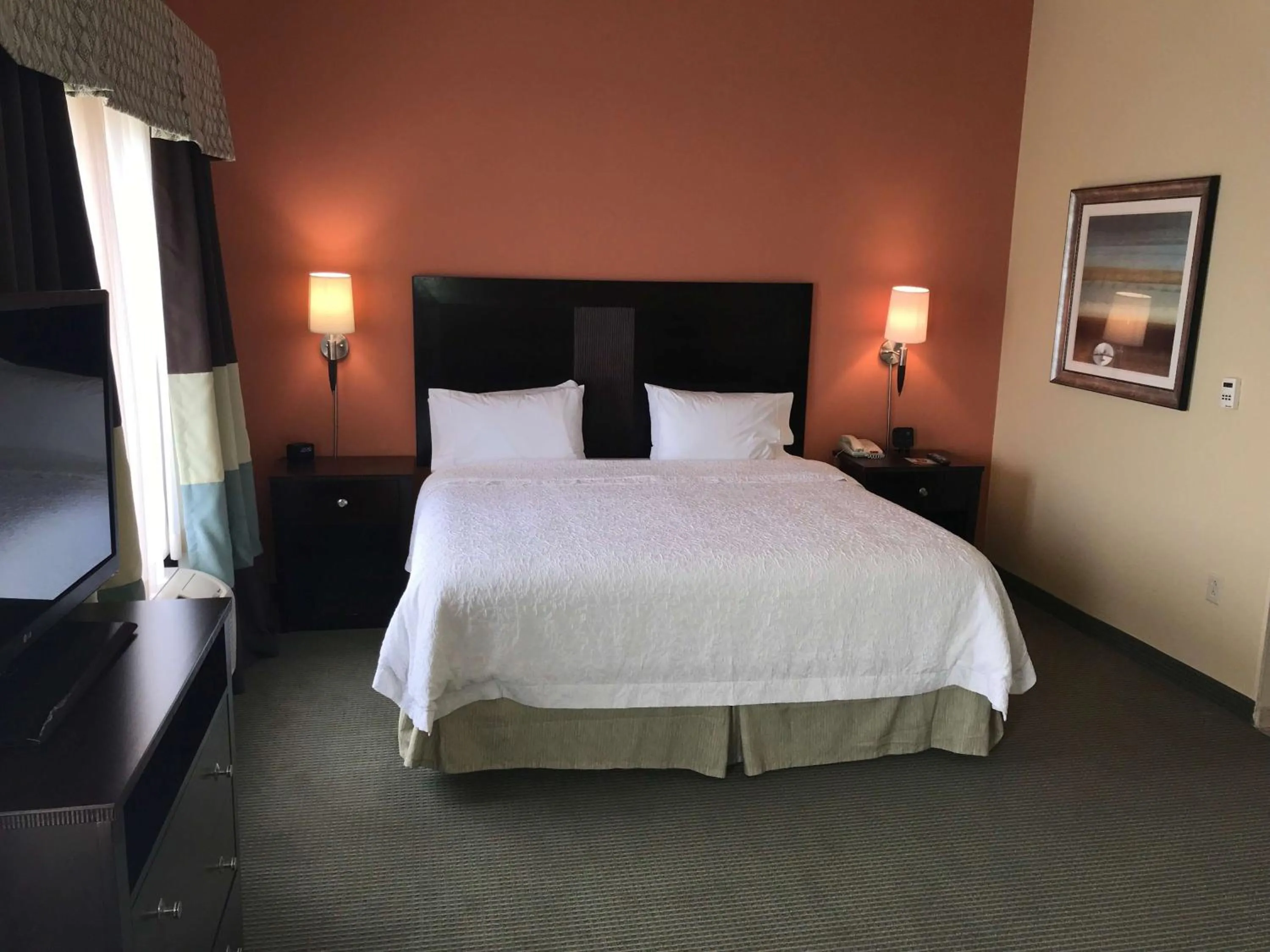 Deluxe King Room - Non-Smoking in Hampton Inn and Suites Austin - Lakeway