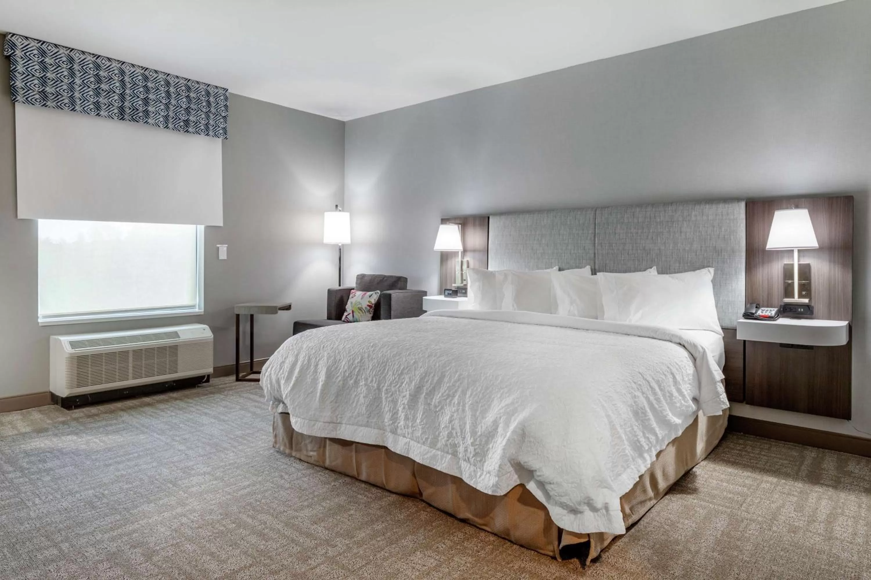 King Room with Roll-in Shower - Disability Accessible/Non-Smoking in Hampton Inn Camden, SC