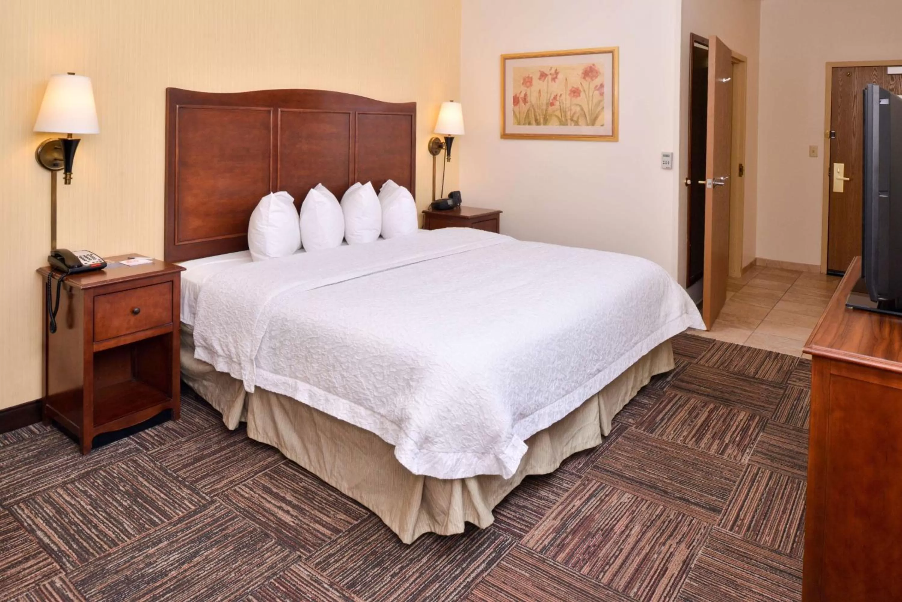 King Room - Disability Access with Bathtub in Hampton Inn Elkhart