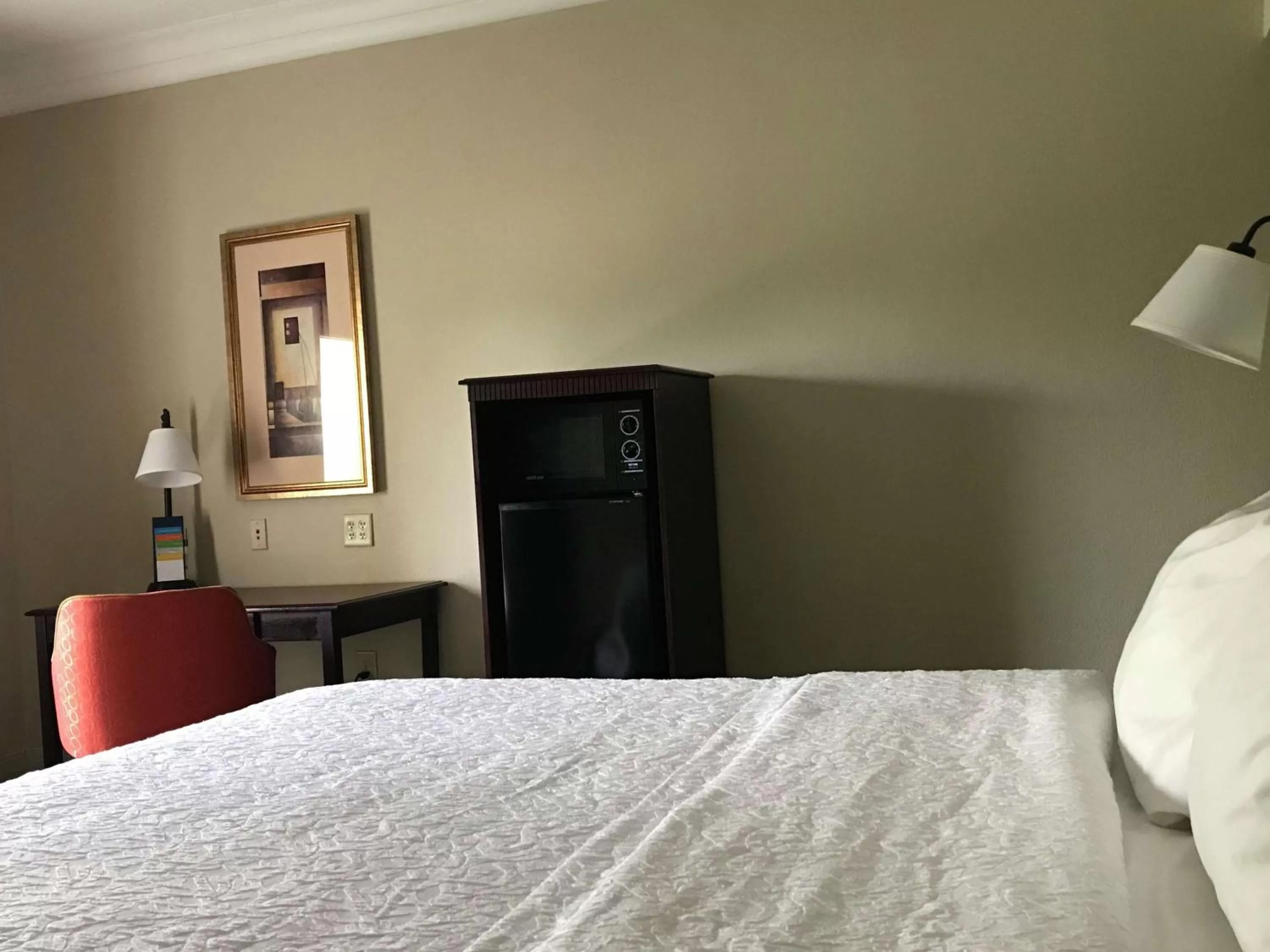 King Room with King Bed - Non-Smoking in Hampton Inn Vidalia