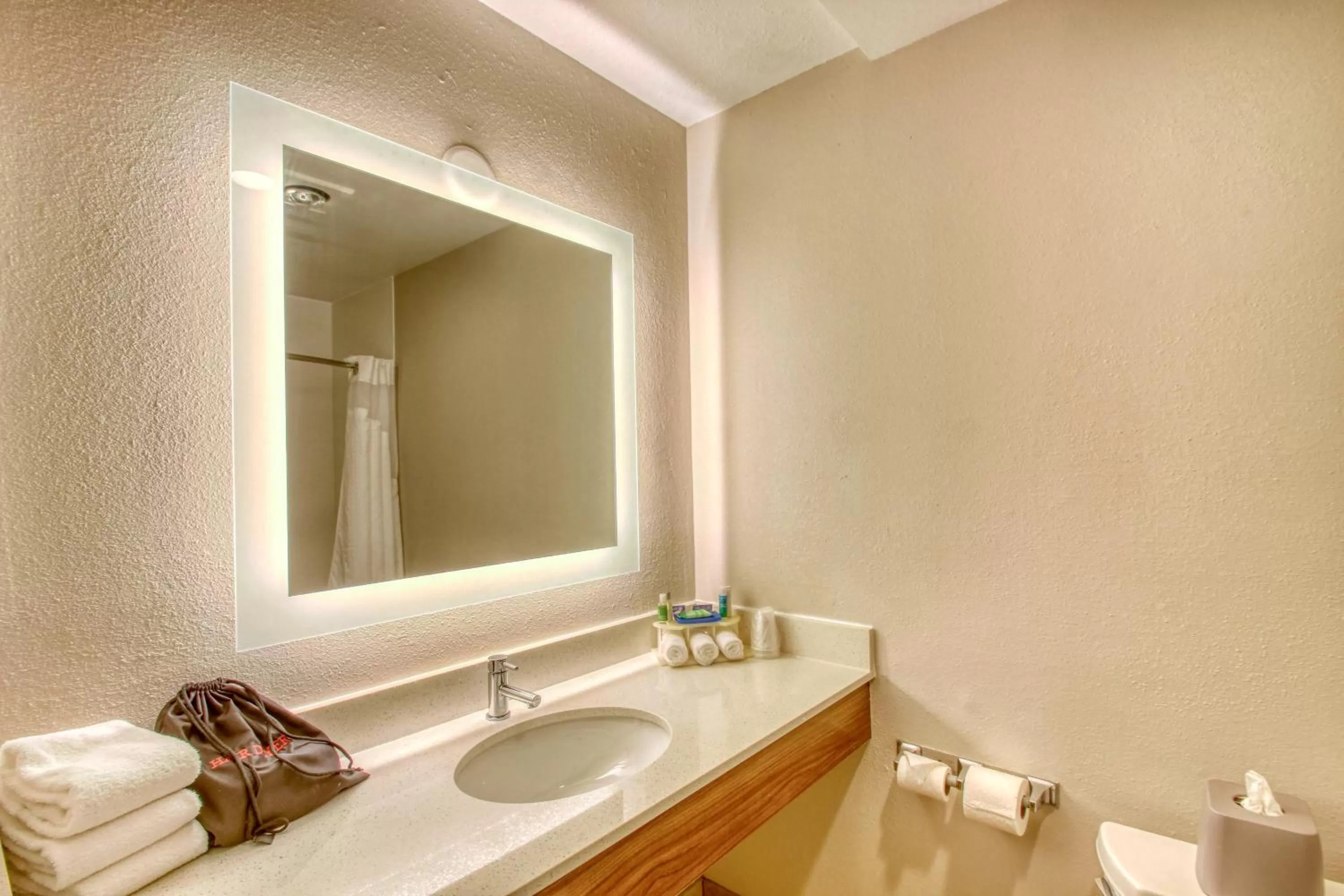 Executive Suite - Non-Smoking in Holiday Inn Express Hotel & Suites Oshkosh - State Route 41 by IHG