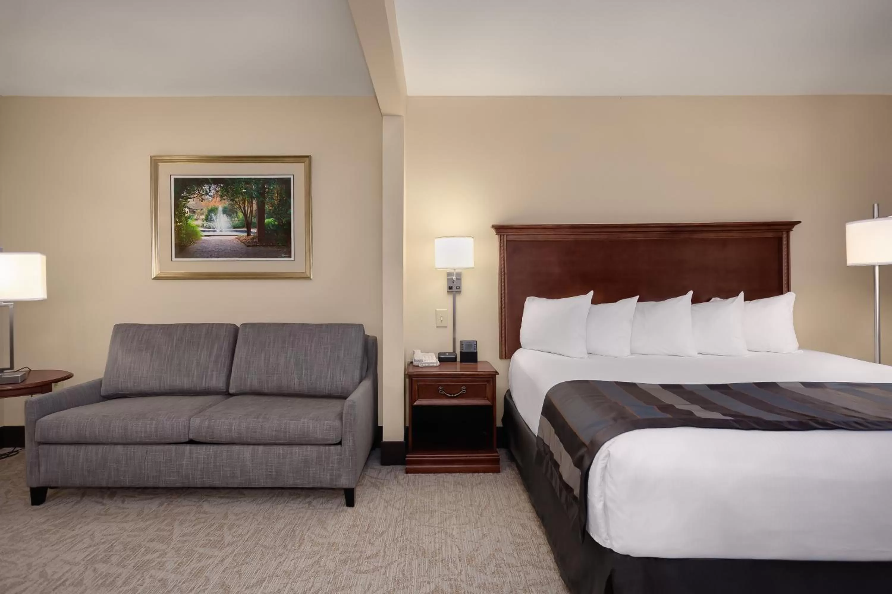 King Room - Disability Access/Non-Smoking in Wingate by Wyndham Columbia/Lexington
