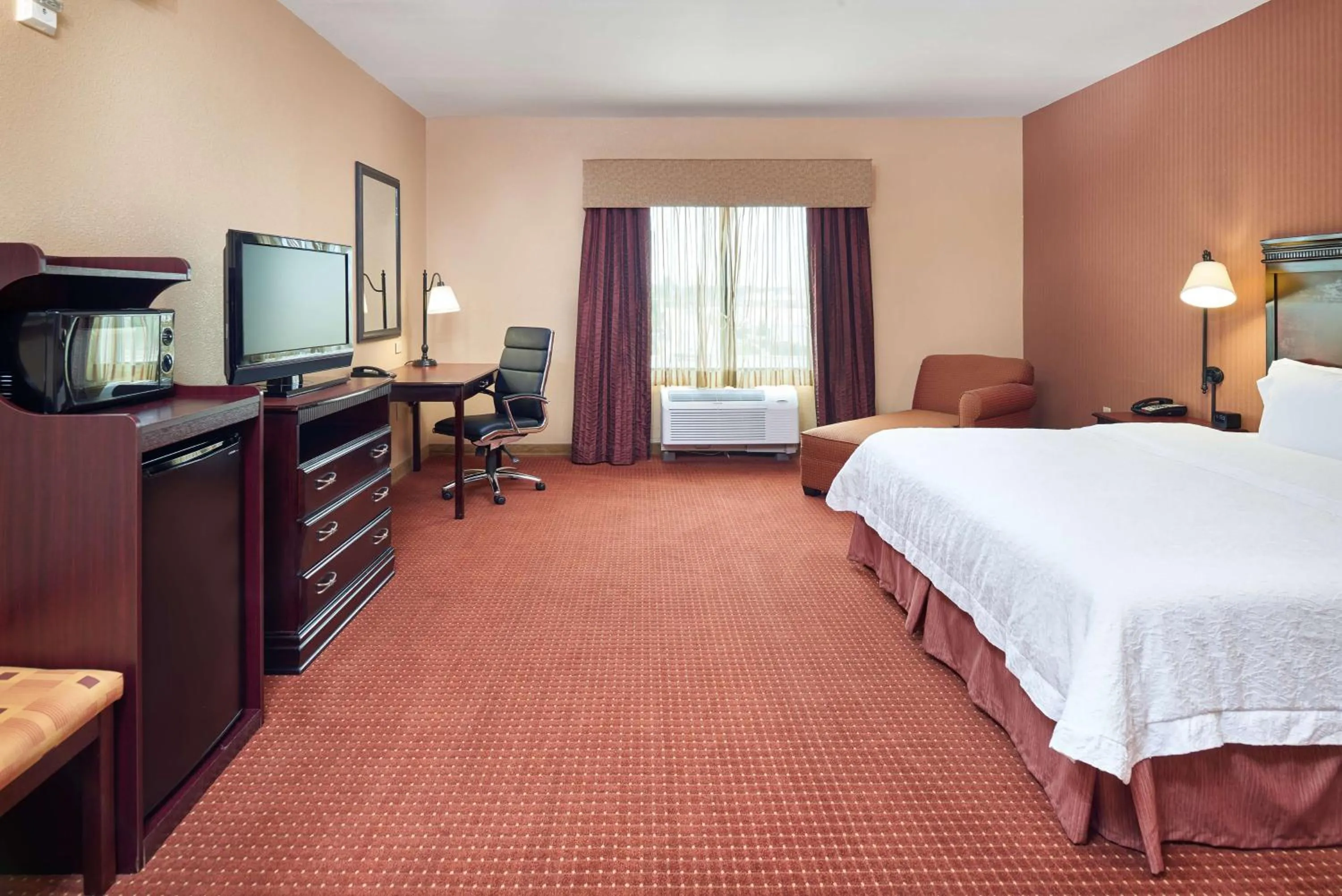 King Room with Accessible Tub - Mobility and Hearing Access/Non-Smoking in Hampton Inn & Suites Austin South Buda