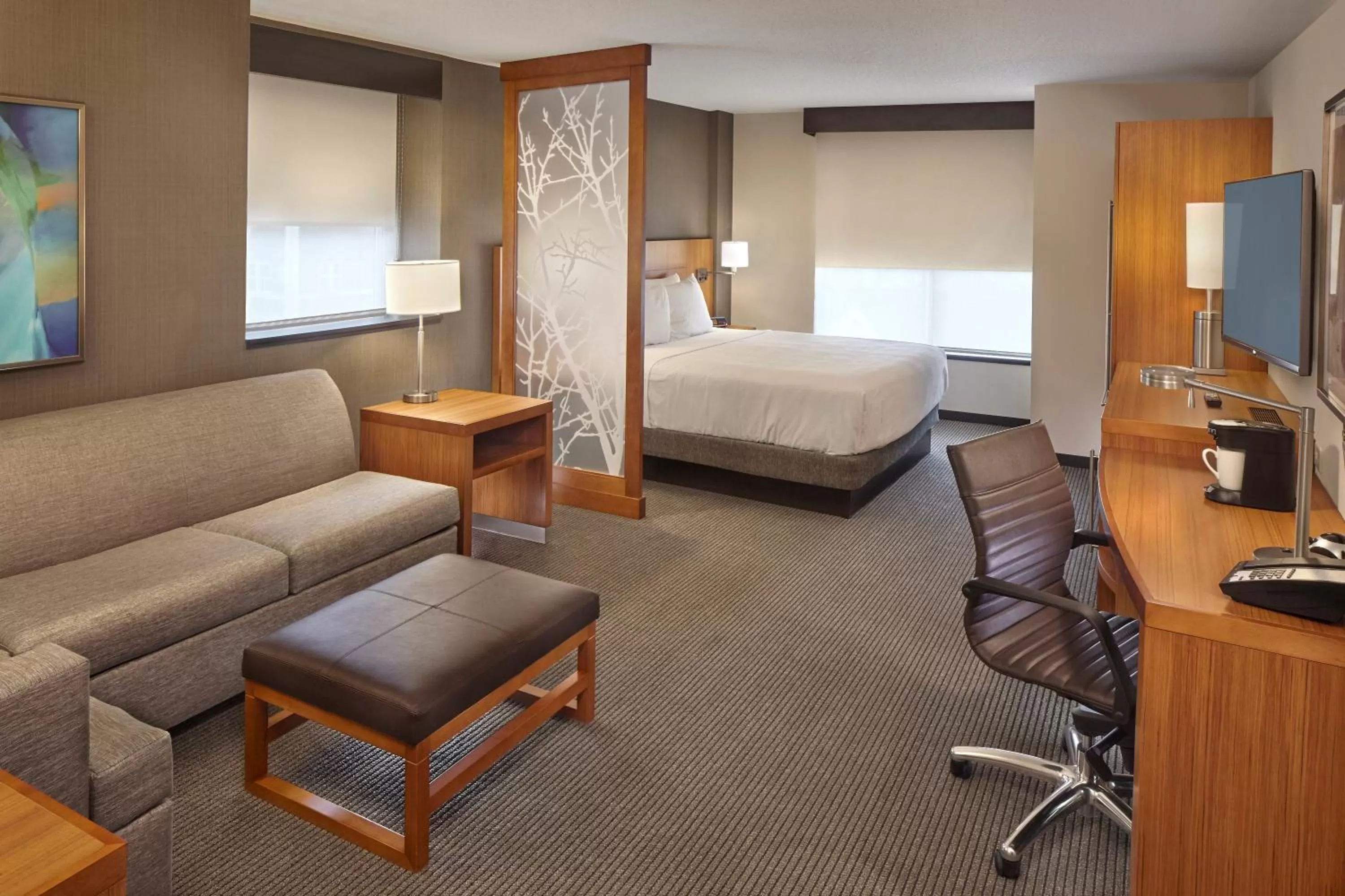 King Room with Sofa Bed in Hyatt Place State College