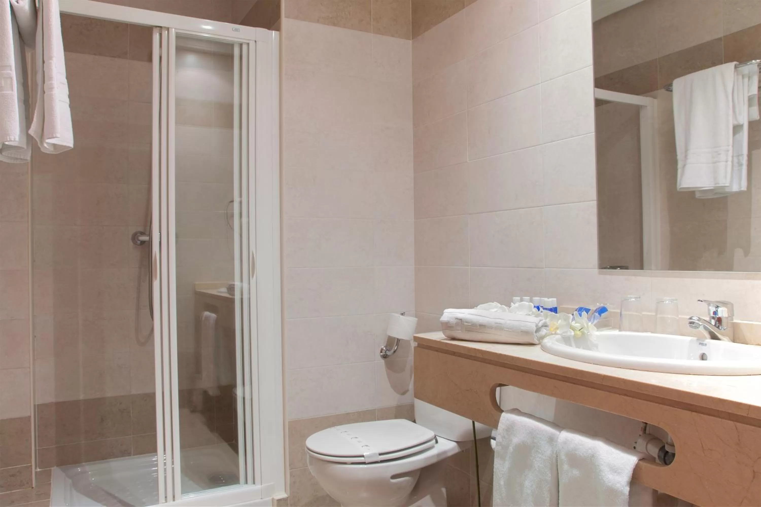 Double or Twin Room in FC Infantas de León