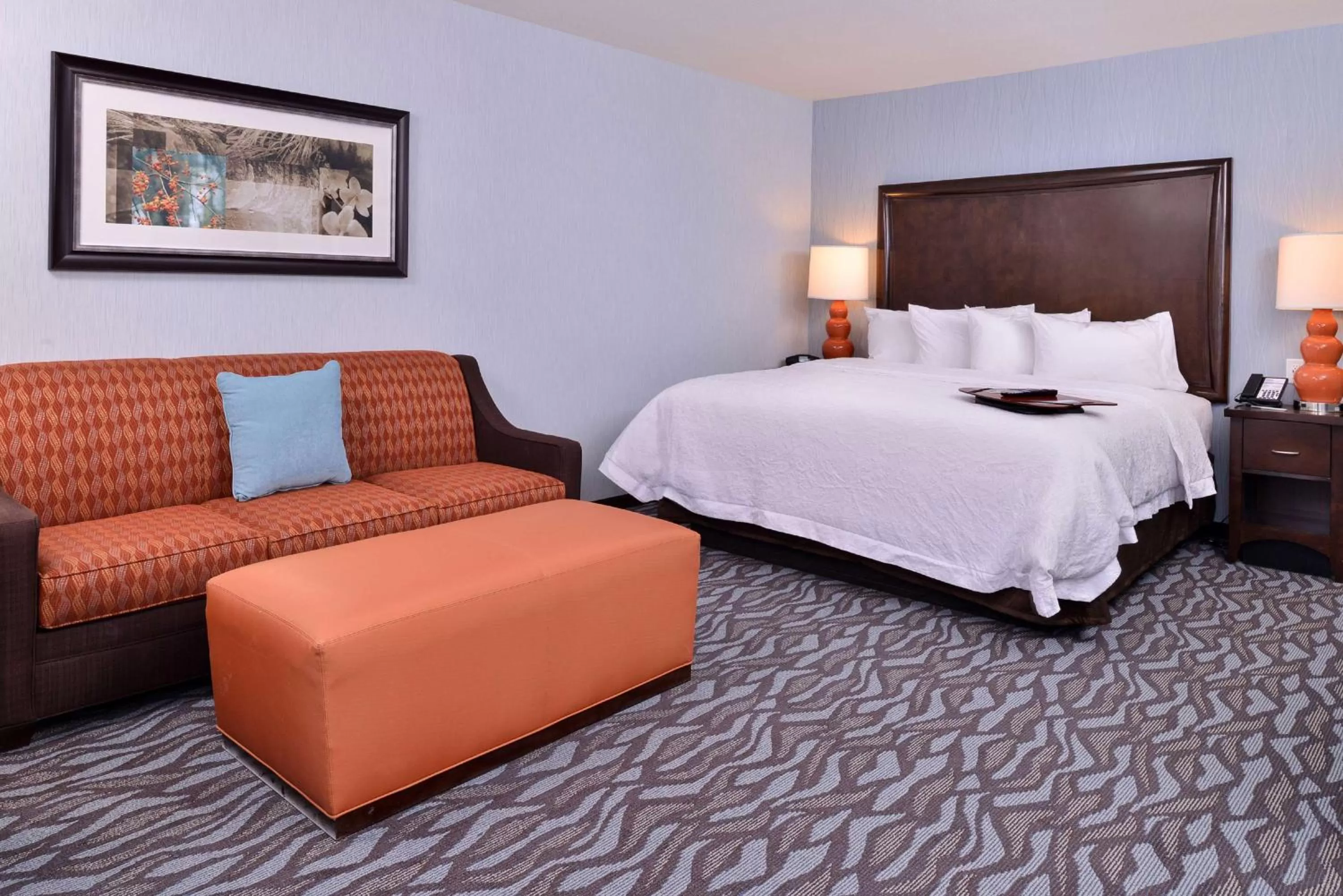 King Room with Sofa Bed - Non-Smoking in Hampton Inn Potsdam