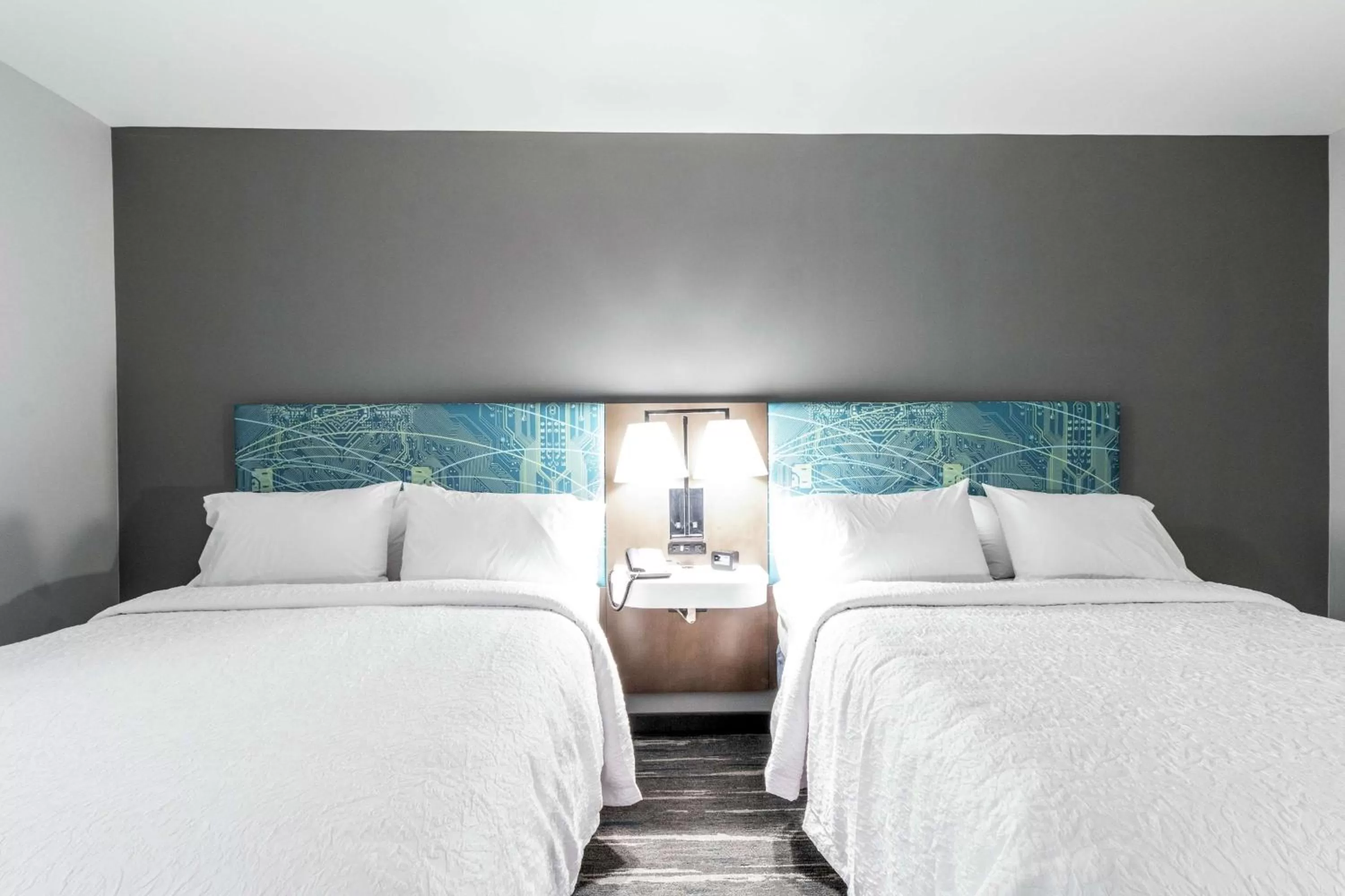 Queen Room with Bath Tub - Mobility Access/Non-Smoking in Hampton Inn Locust Grove