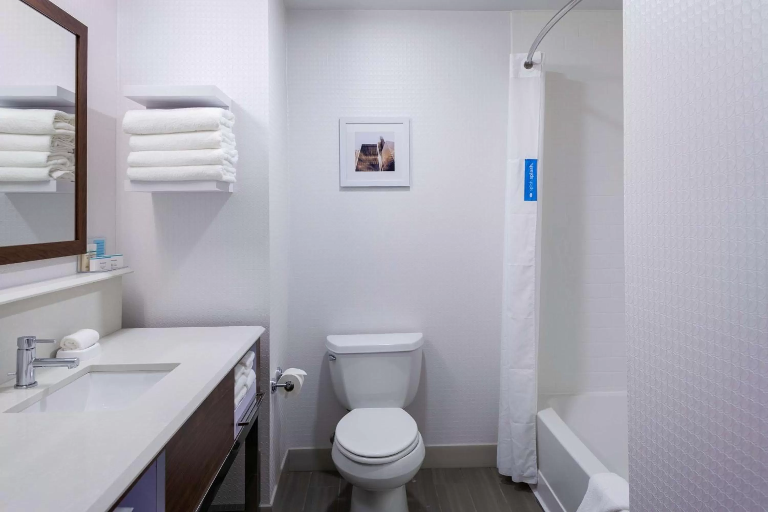 Double Room with Two Queen Beds - Mobility/Hearing Accessible with Roll-In Shower in Hampton Inn & Suites Chicago-Burr Ridge