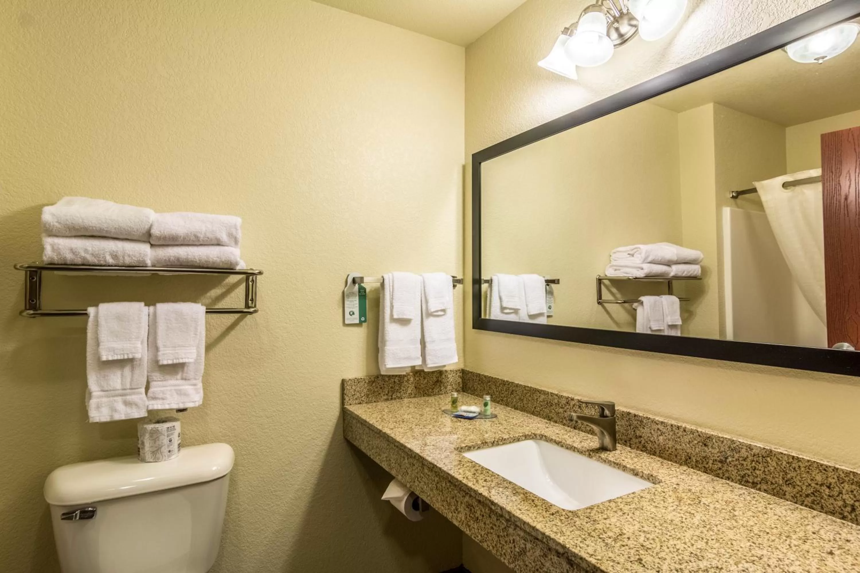 Single Room in Cobblestone Hotel & Suites - Devils Lake