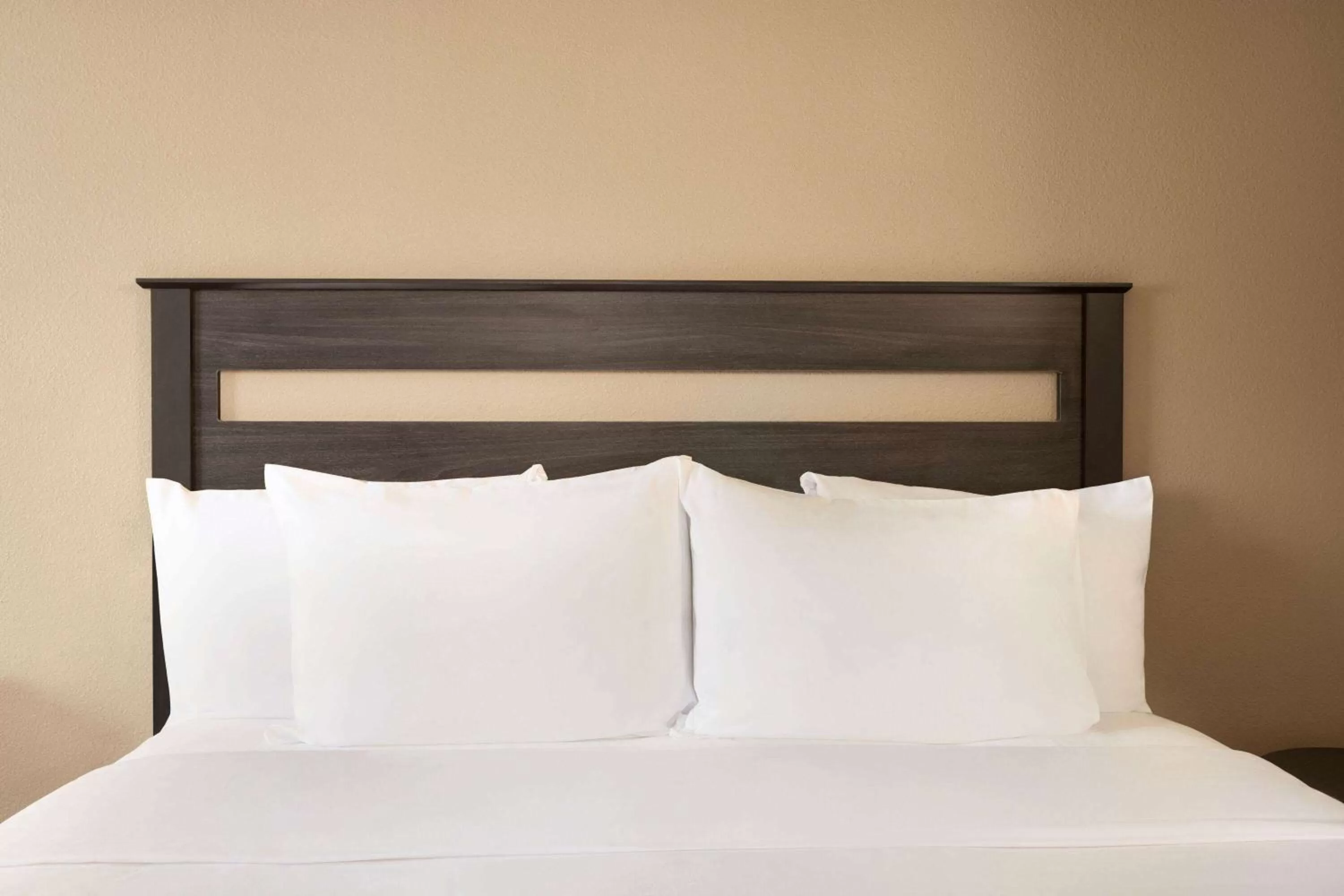 Queen Room with Roll-In Shower - Mobility Accessible/Non-Smoking in Baymont by Wyndham Hearne